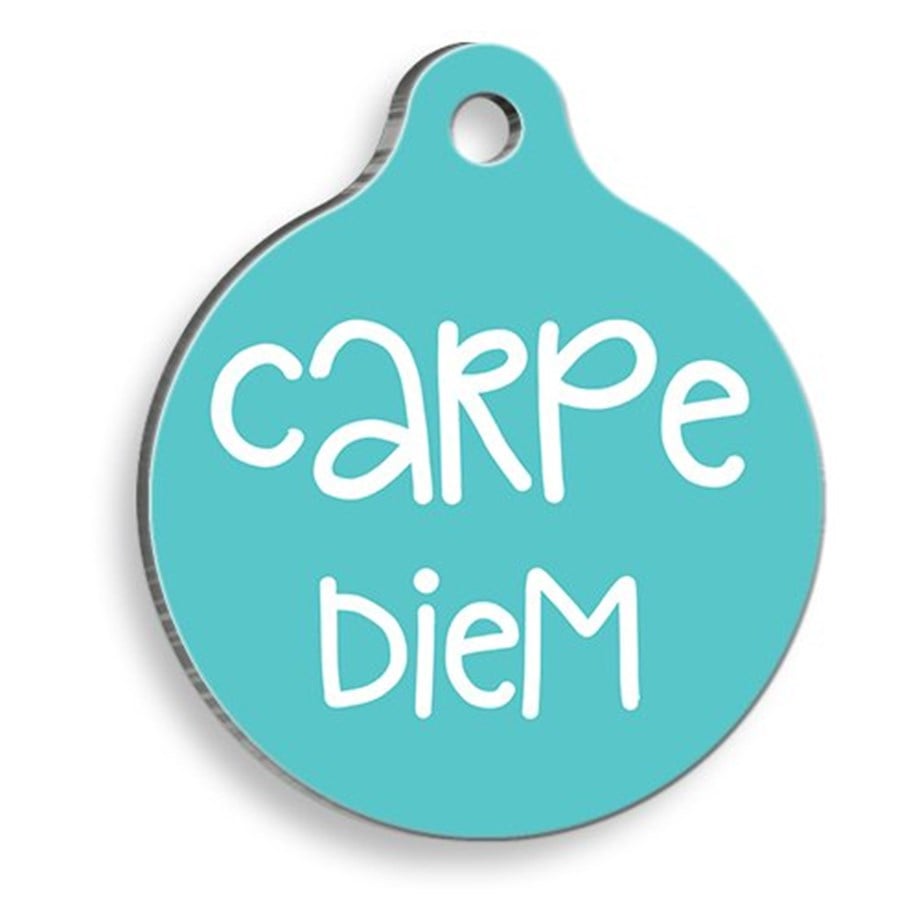 Carpe Diem Round Cat And Dog Tag