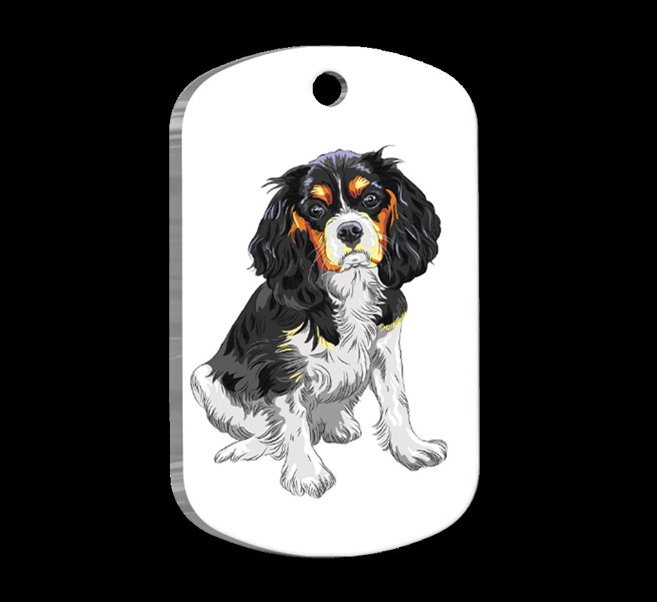 Cavalier Charles 2 Illustrated Dog Tags