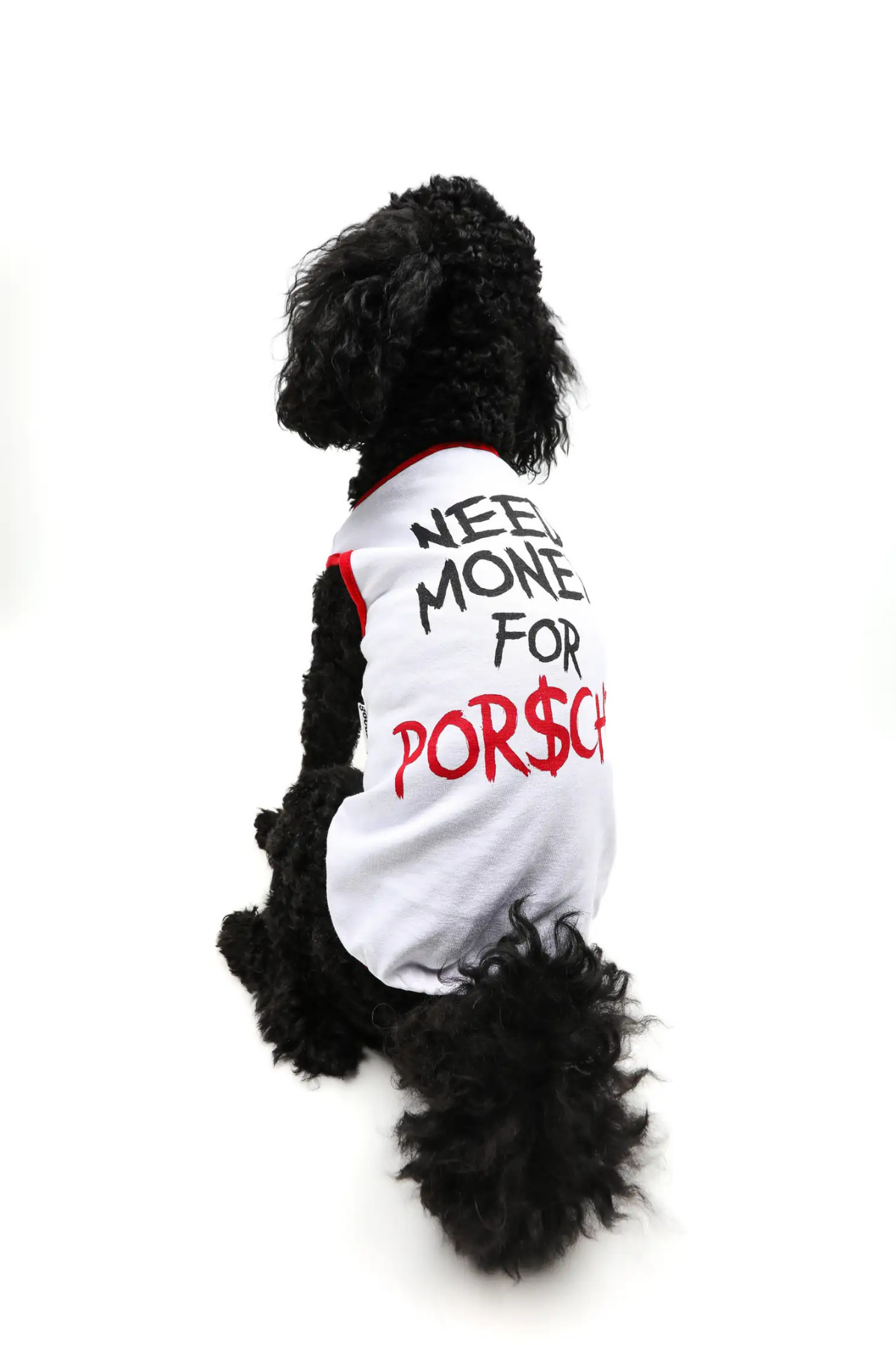 Goodboi Need Money For Porsche Atlet