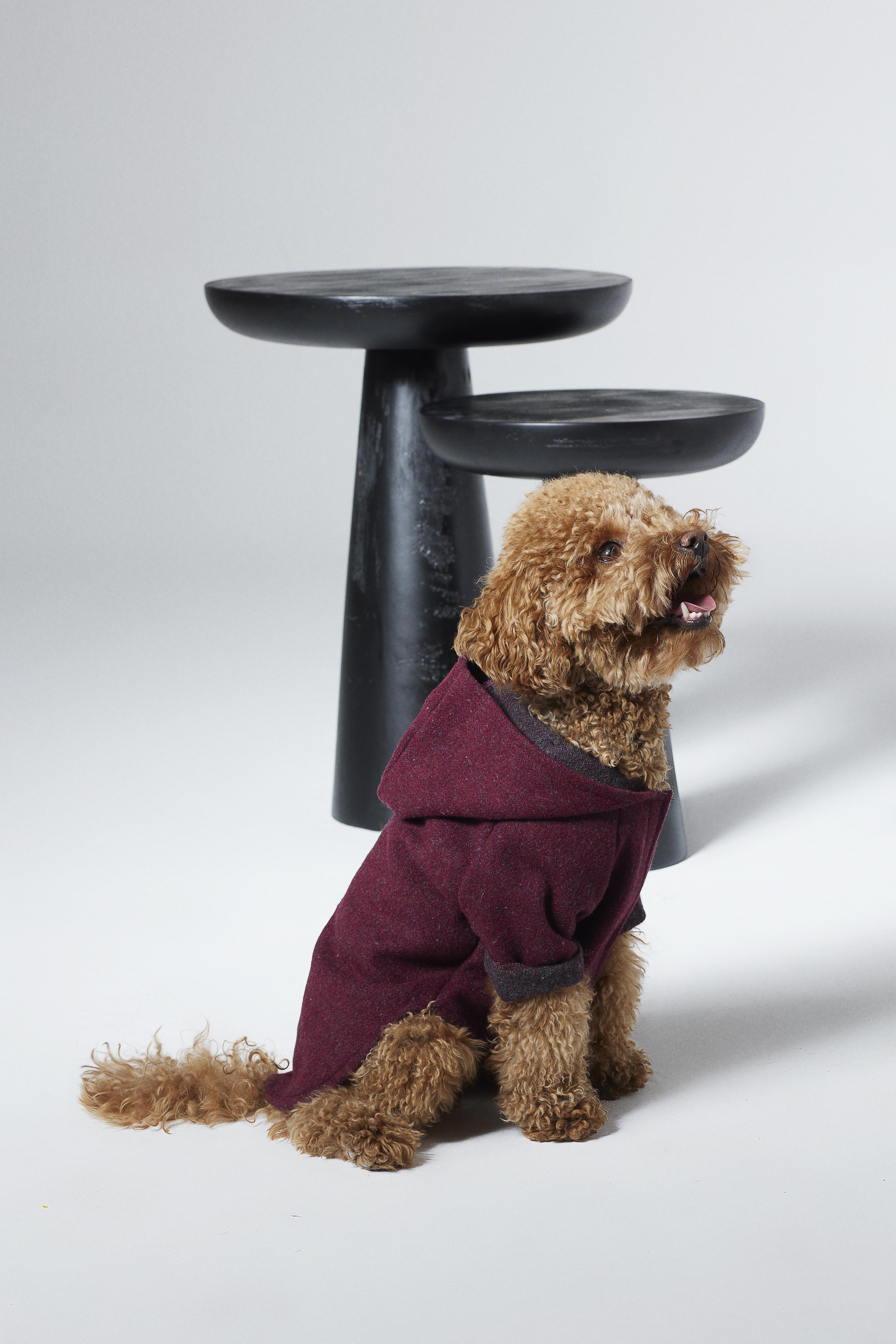 Dante Chills Bordo Köpek Hoodie
