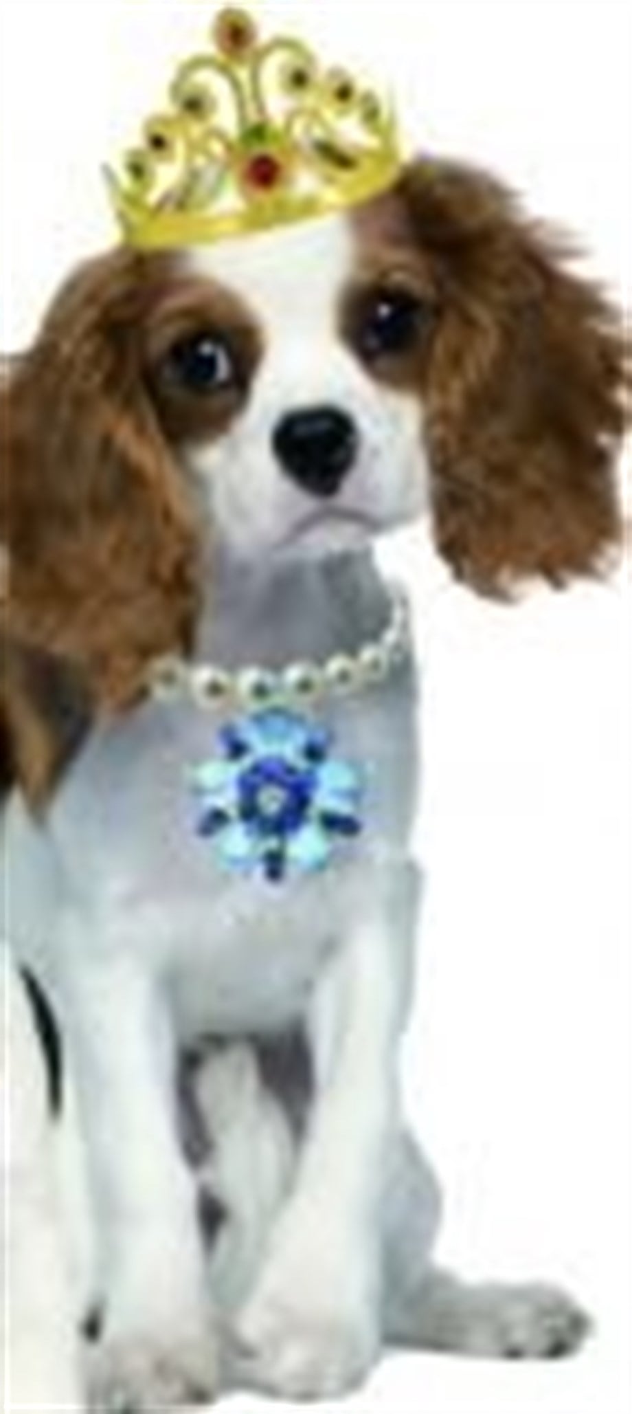 Dog&Dolls Sweatshirt Felpina King Charles Medium