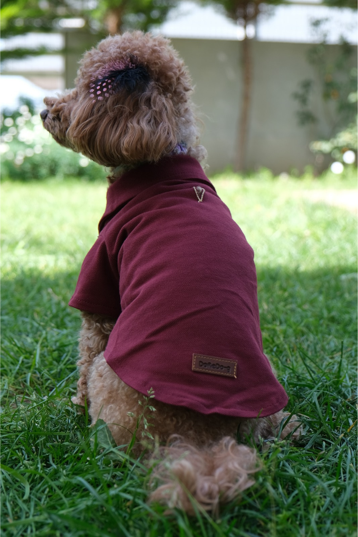 Doredog bordo polo tişört