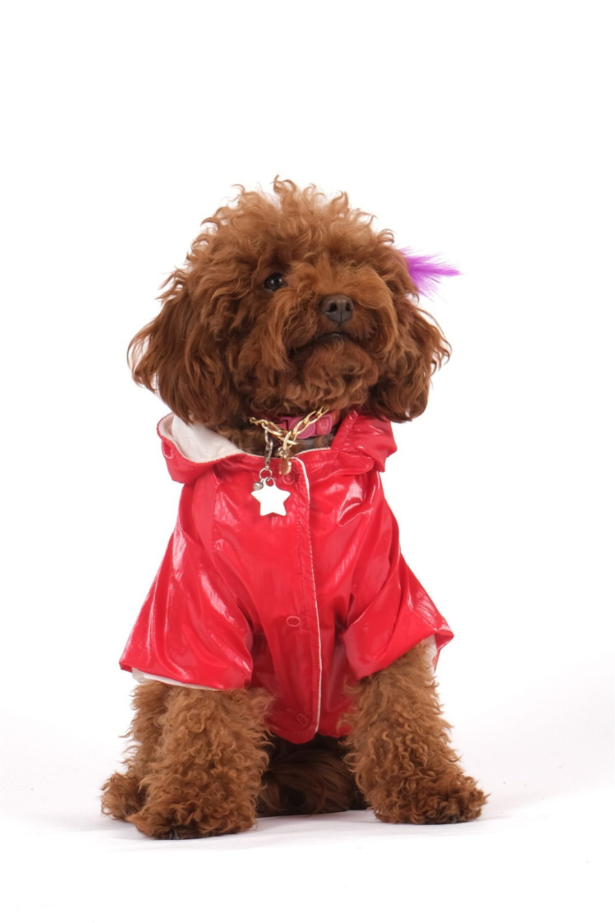 Doredog Kırmızı Parlak Mont