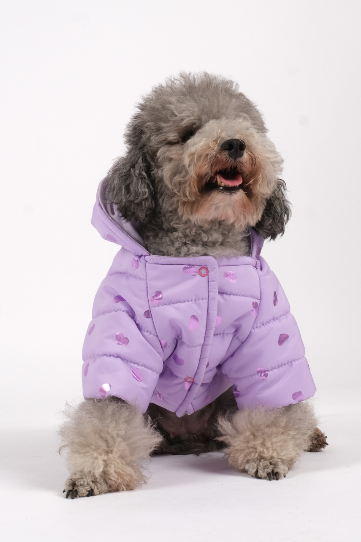 Doredog Lila Kalpli Mont