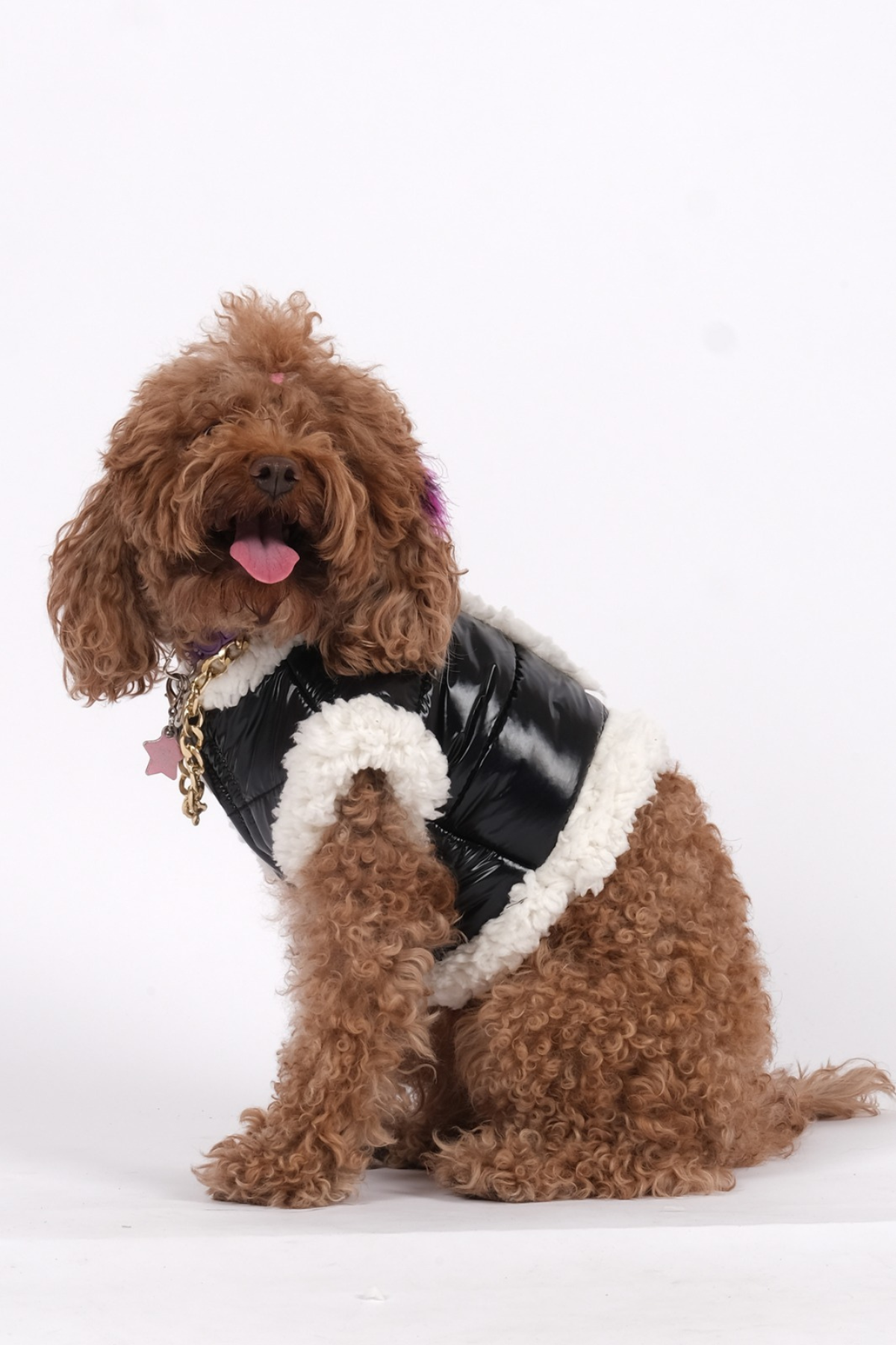 Doredog Siyah Parlak Tasma