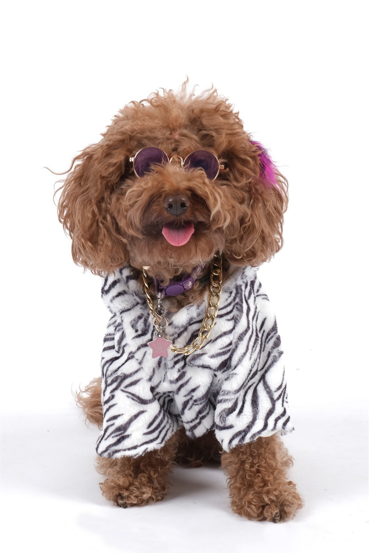 Doredog Zebra Desen Peluş Mont