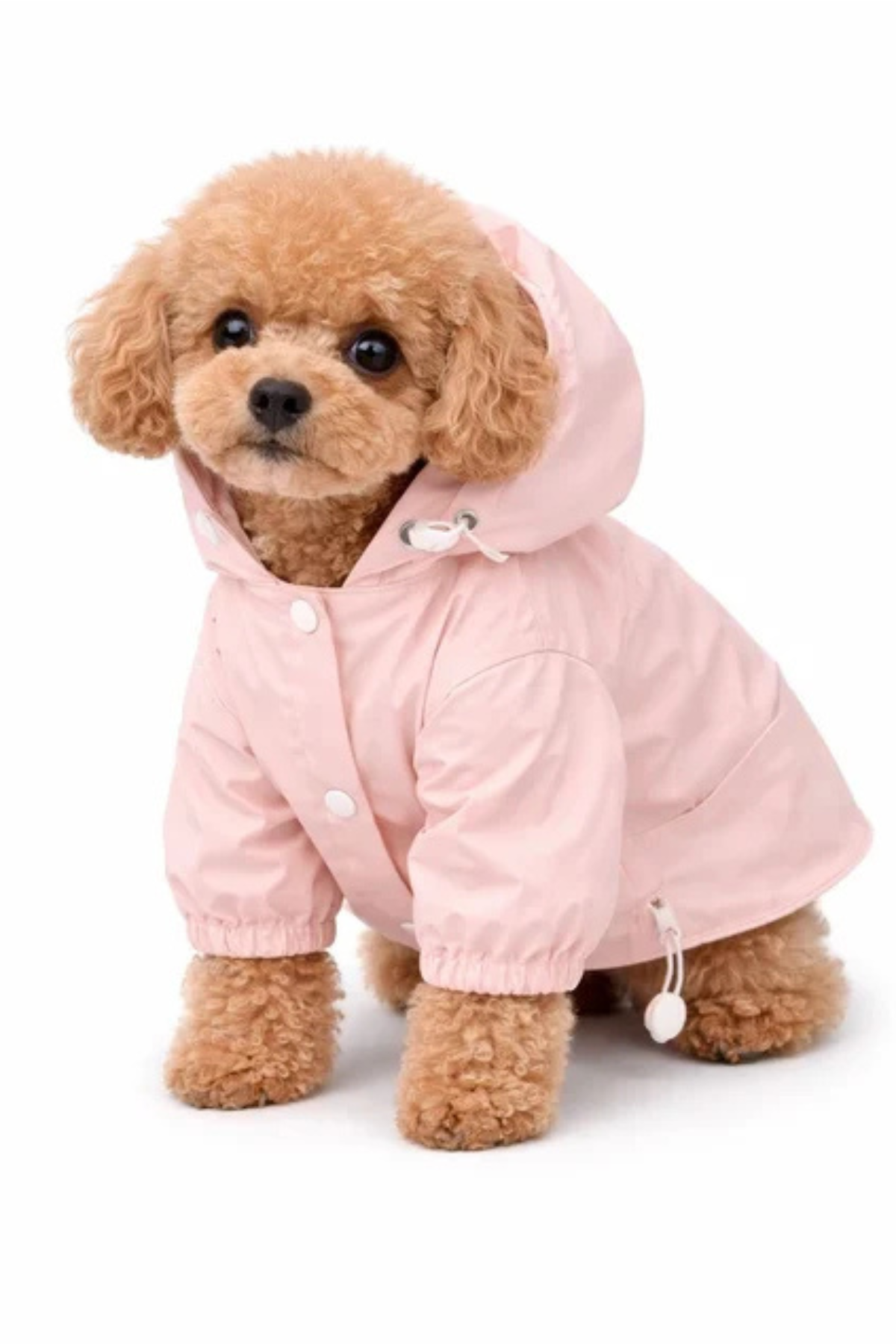 Dolcepets Köpek Yağmurluk Pembe