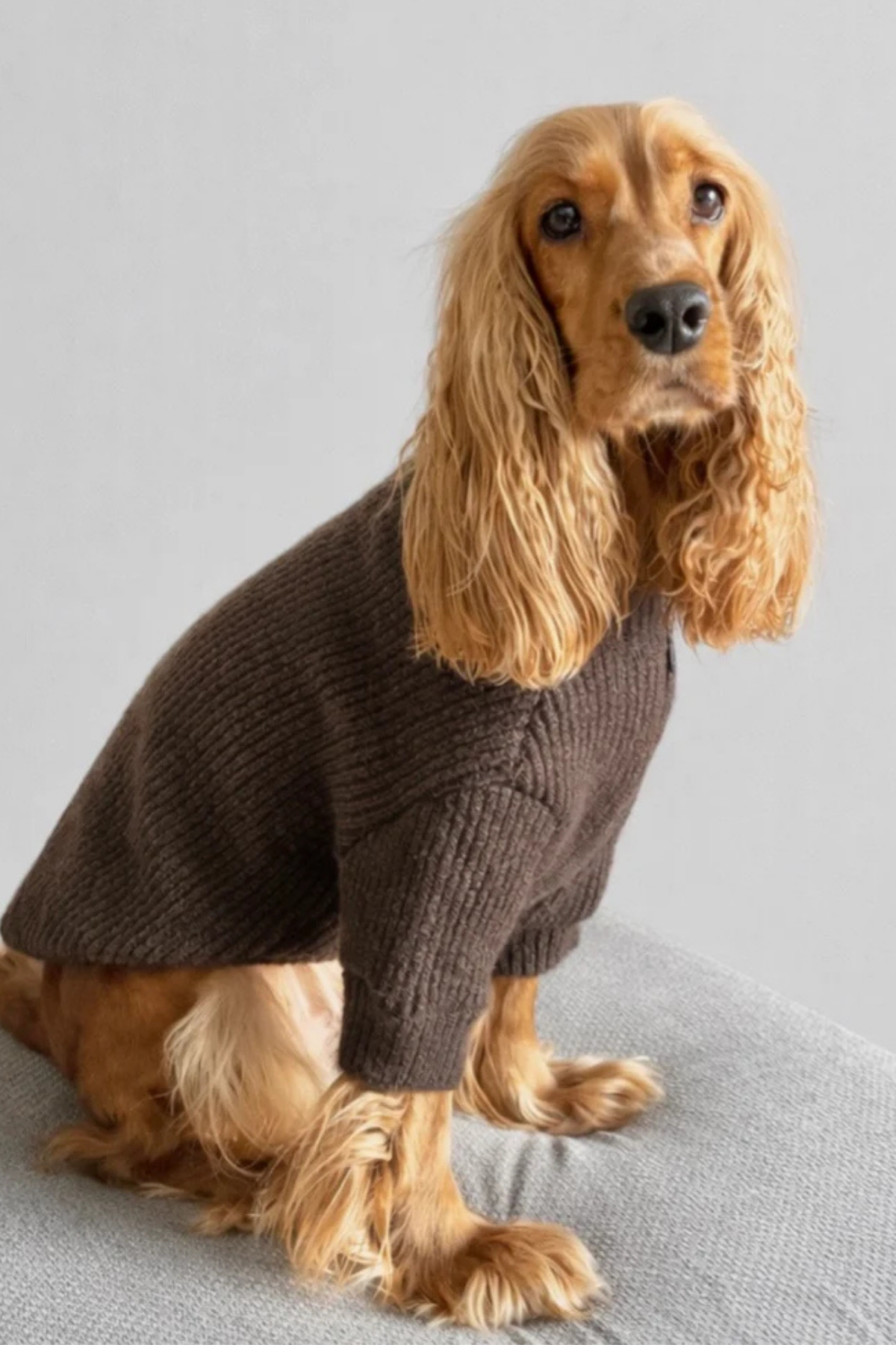 Apac.co Köpek Kazak Kahverengi