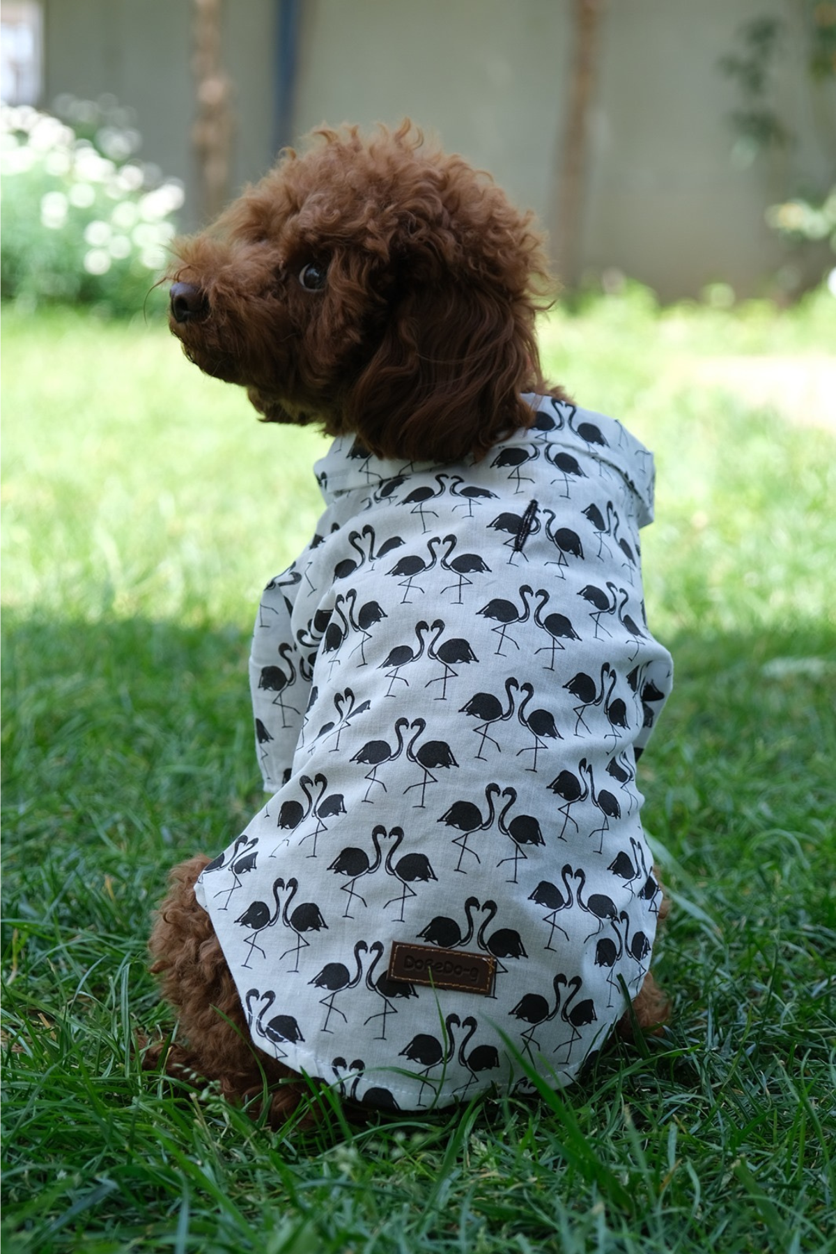 Doredog siyah filamingolu gömlek