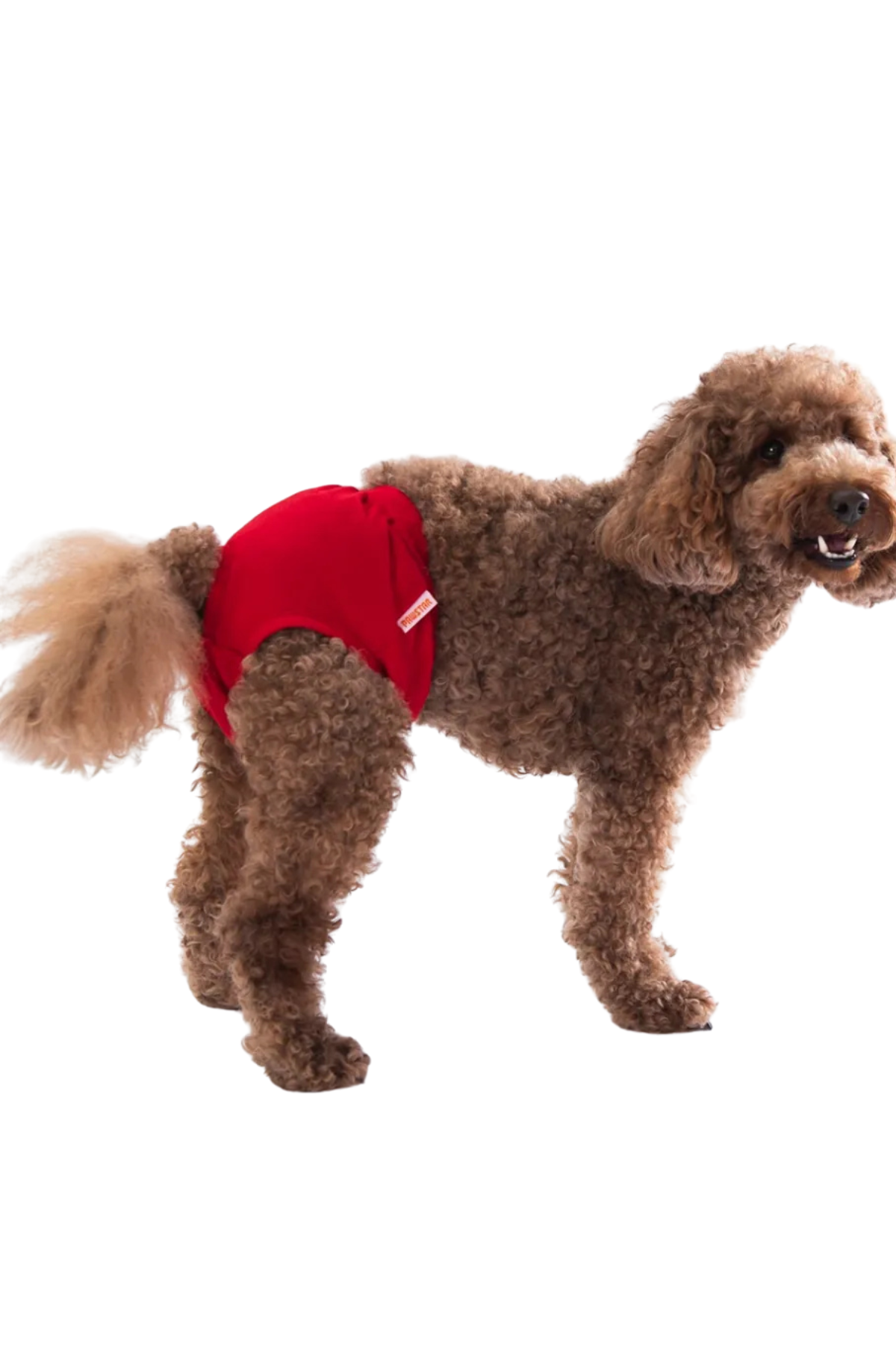 PawStar Regl Külodu Kırmızı 