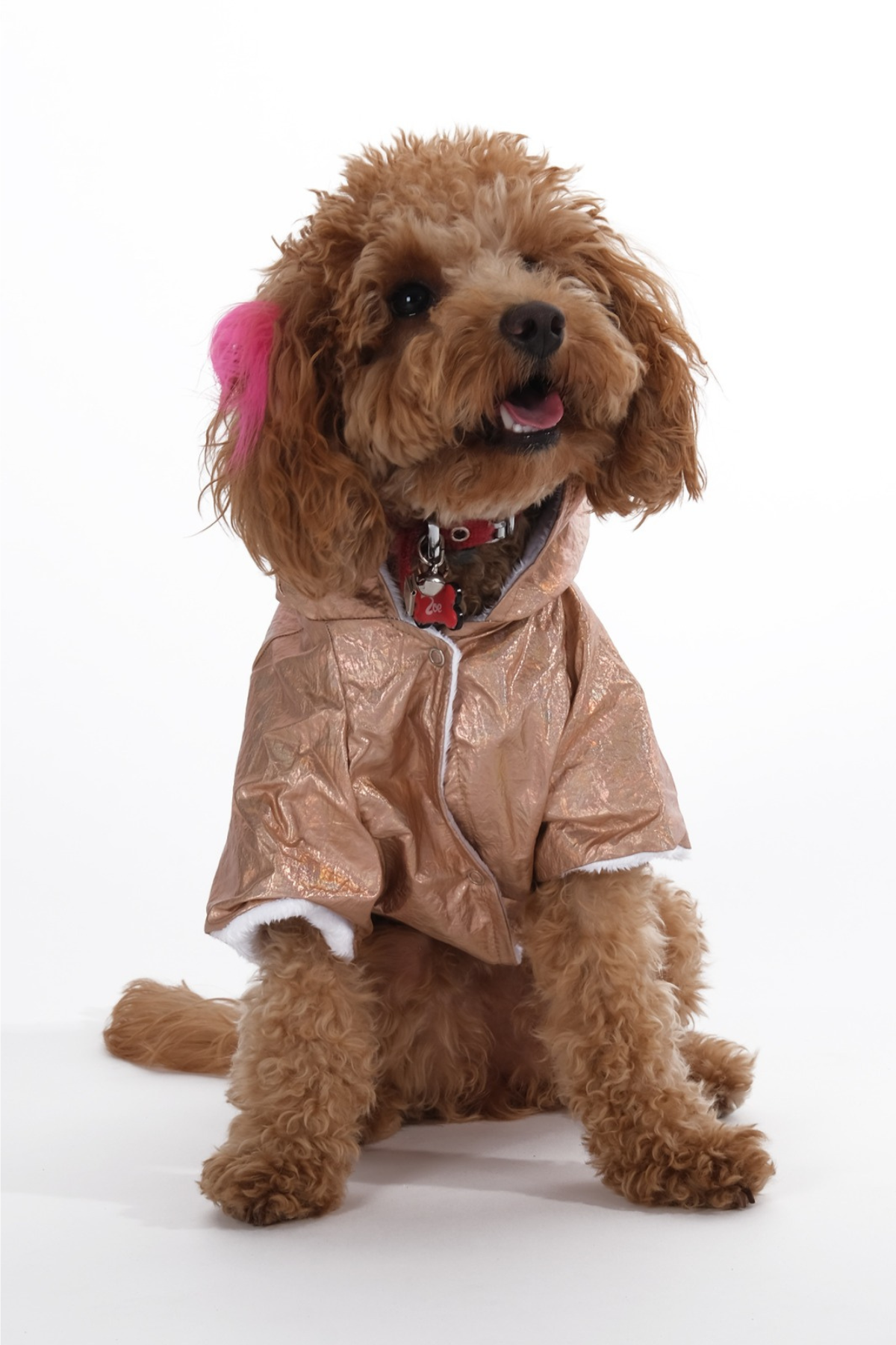 Doredog parlak altın içi peluş rüzgarlık