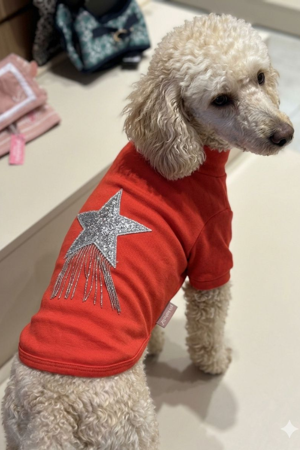 Goodboi Kırmızı Taşlı Ribana Köpek T-shirtleri
