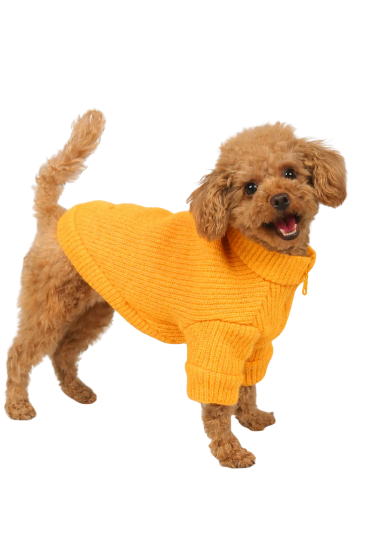 Apac.co Köpek Kazak Turuncu