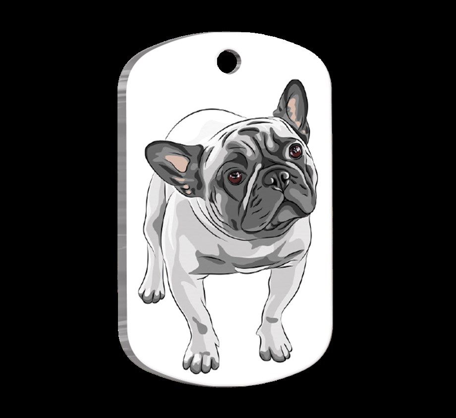 French Bulldog 3 Resimli Köpek Künyesi