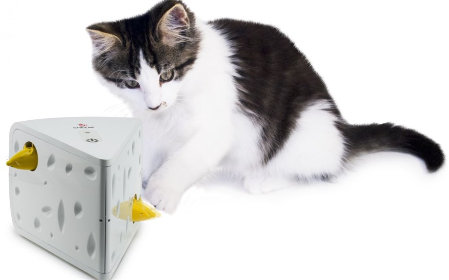 Frolicat Chesee Cat Toy