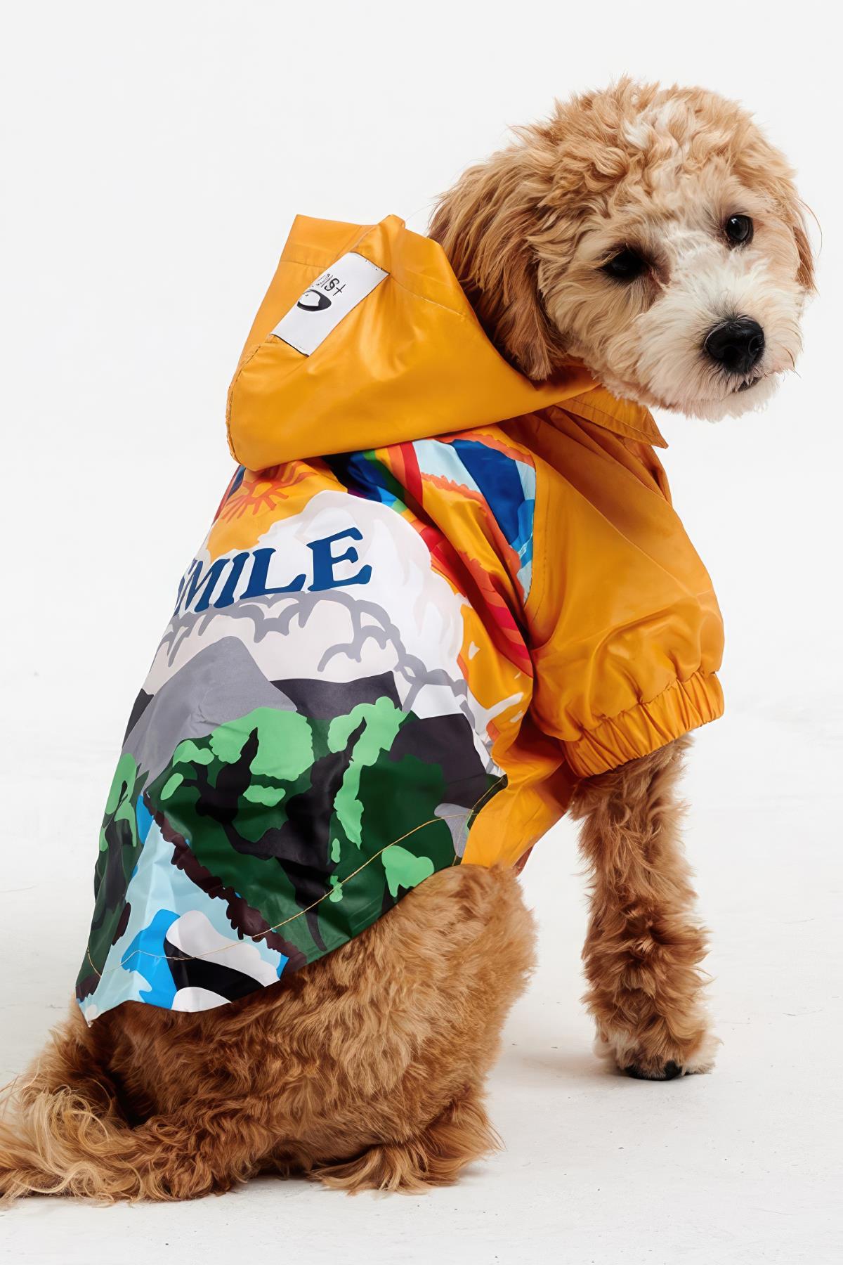 Godoist Raincoat Series-Smile