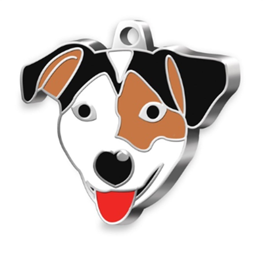 Jack Russel Köpek Künyesi