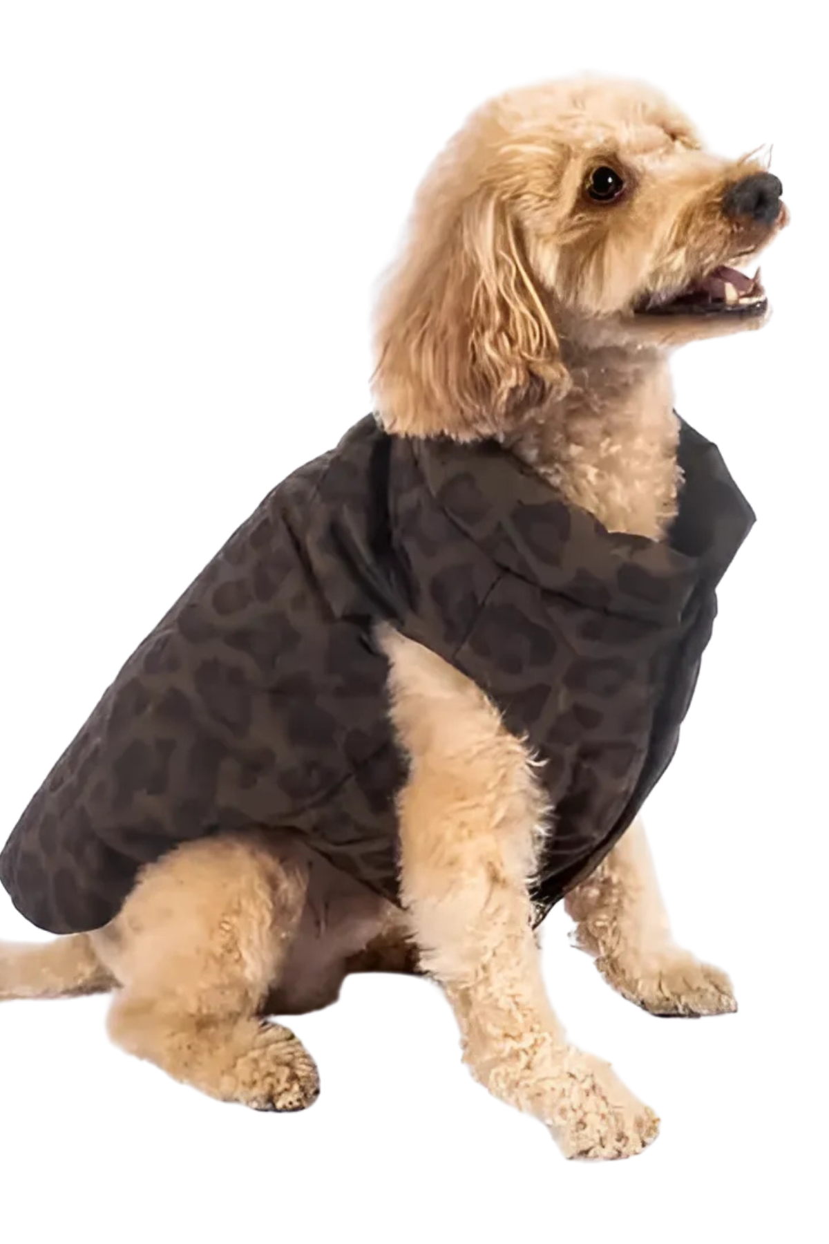 Kajuland Nomad Leopard Kapitone Yelek Kahverengi 