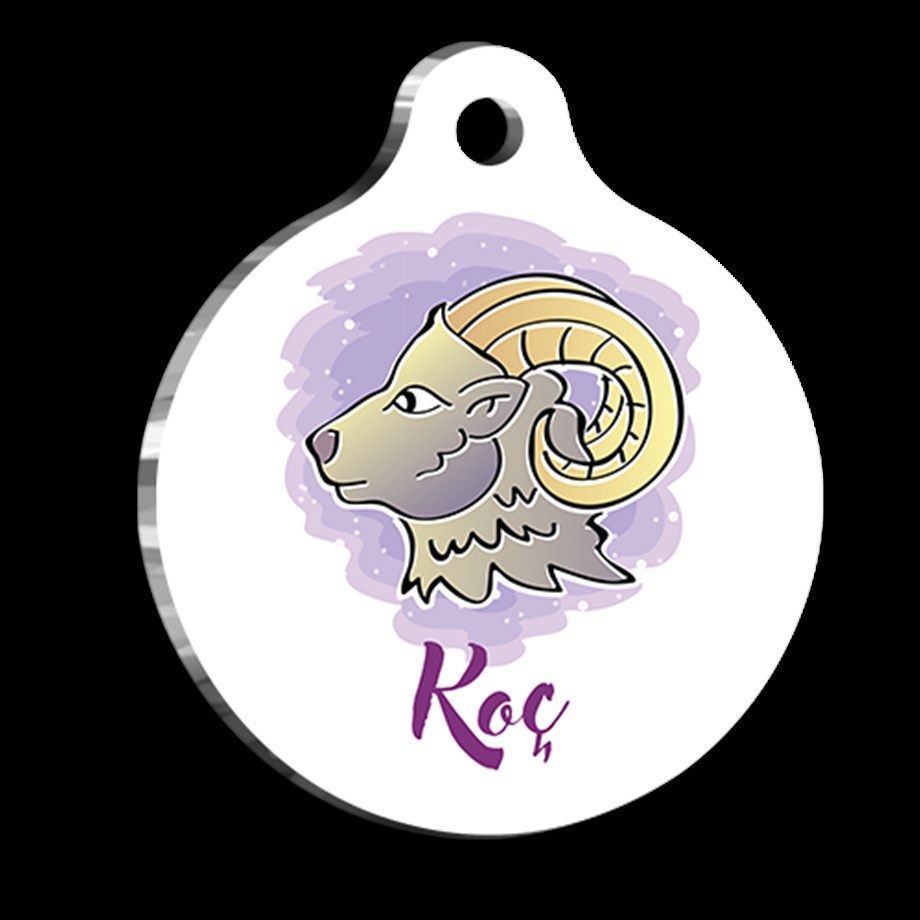 Aries Sign Cat Dog Tag