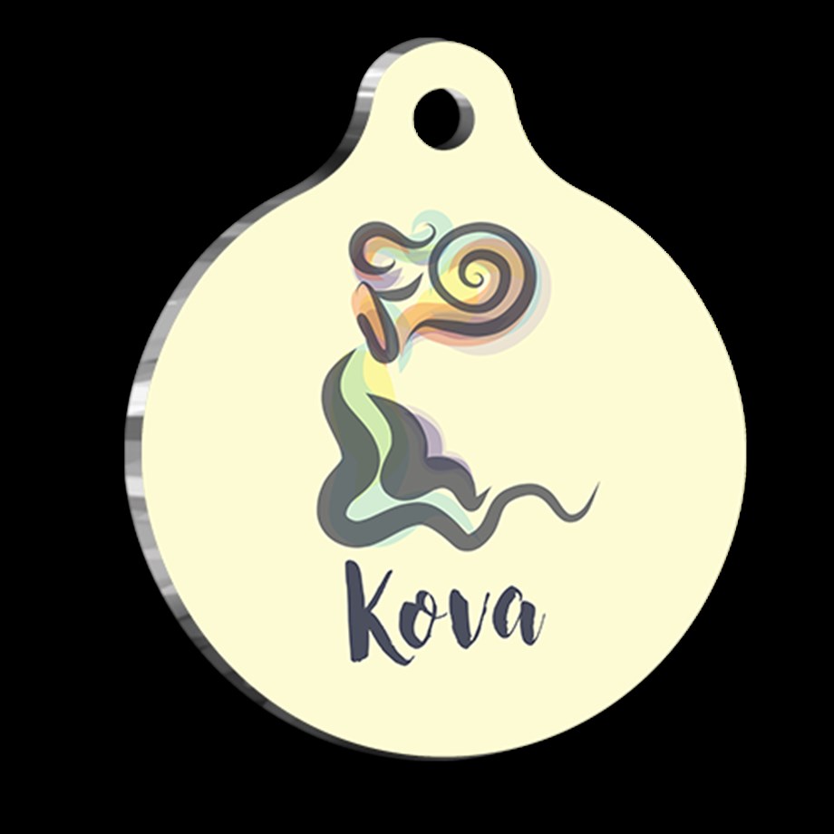 Aquarius Cat Dog Tag