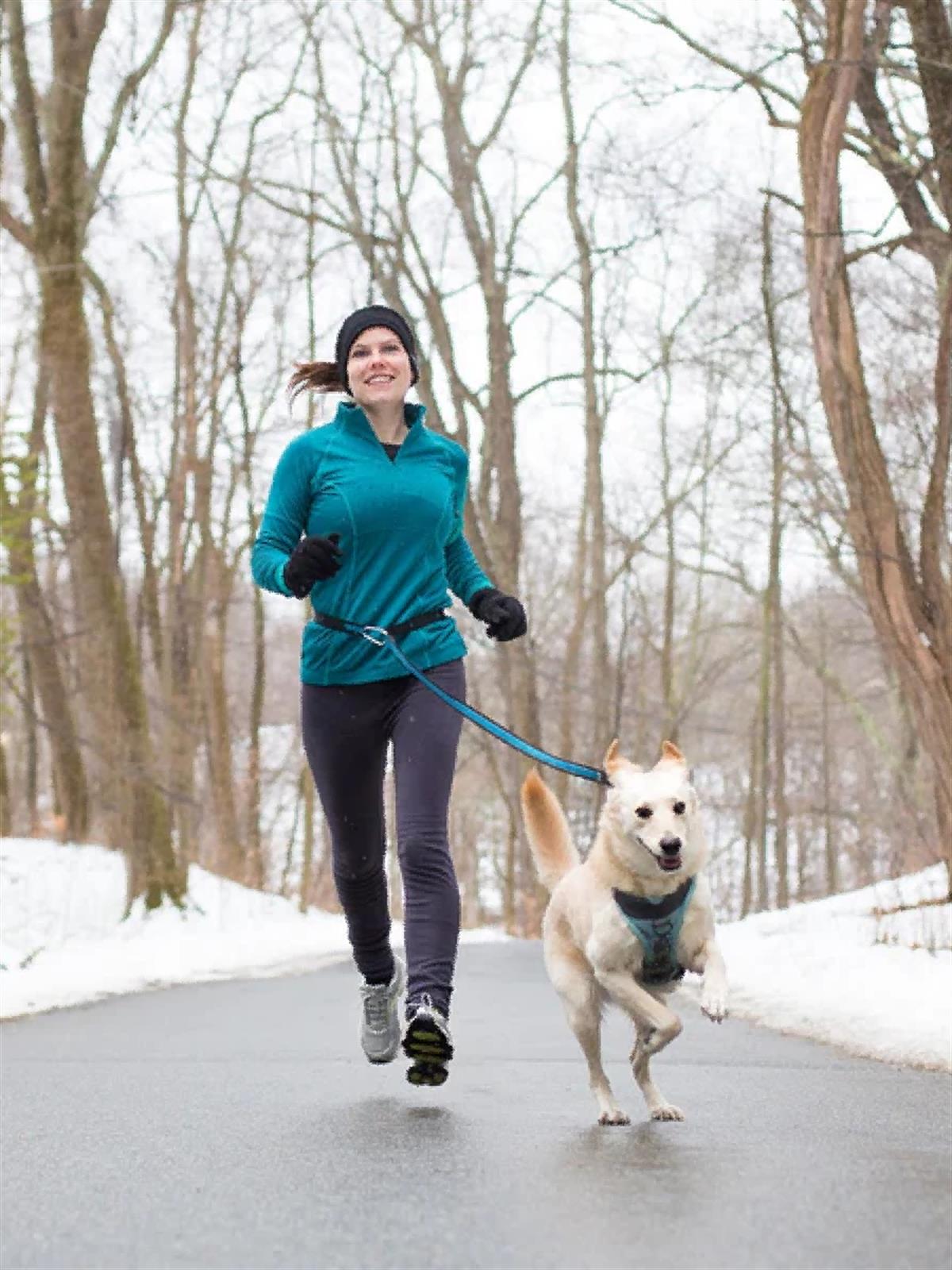 KURGO QUANTUM 6'SI BİRARADA TASMA KAYIŞI SİYAH/KAVUNİÇİ