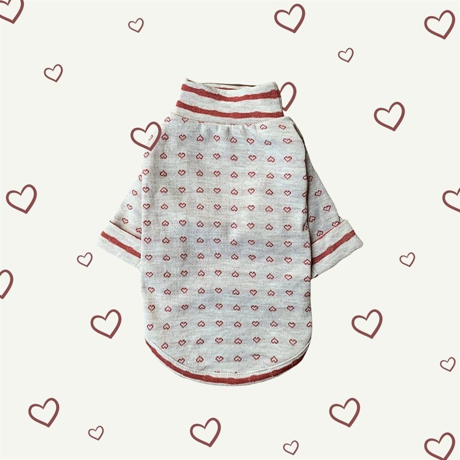 Lil.co Be My Valentine Köpek Shirt