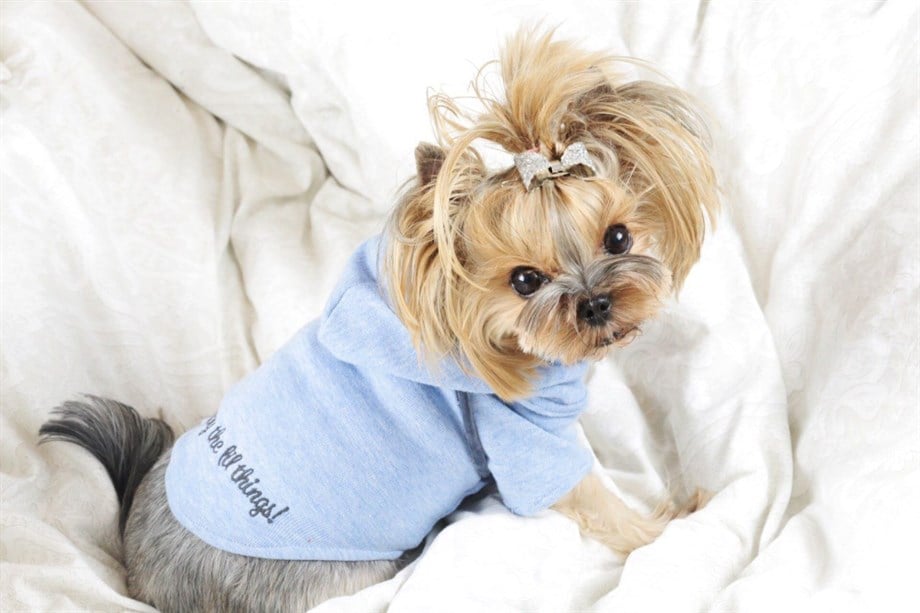 Lil.co Lil Baby Blue Hoodie Köpek Sweatshirt