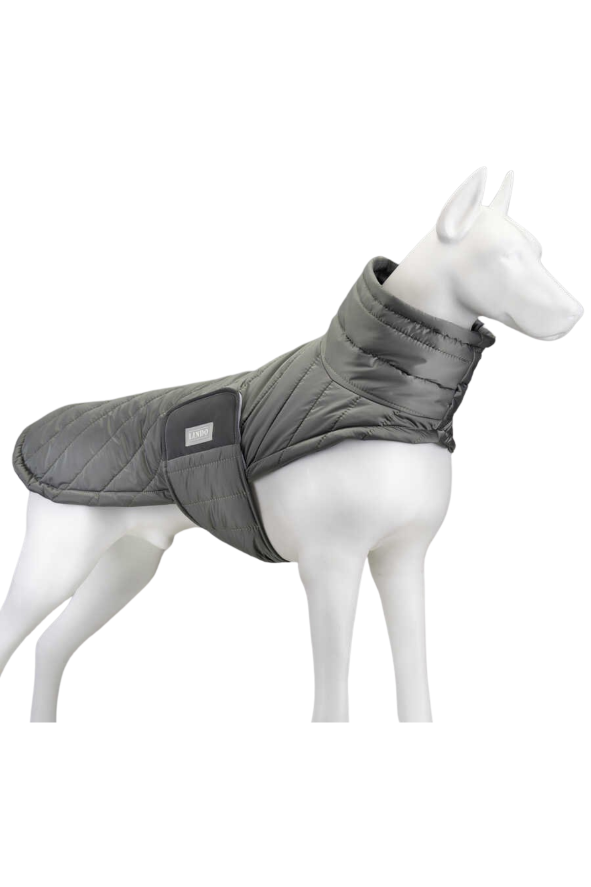 Lindo Air Puff Special Green Köpek Montu Beden