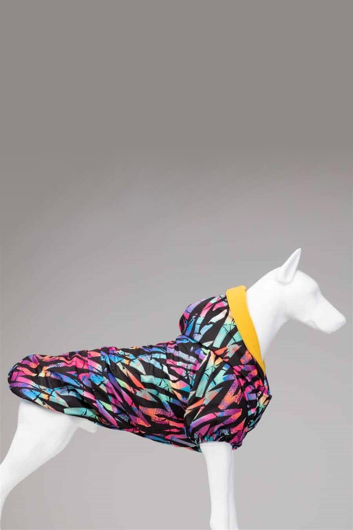 lindodogs-cosmo-plus-ici-polarli-su-ge-244-94.jpg