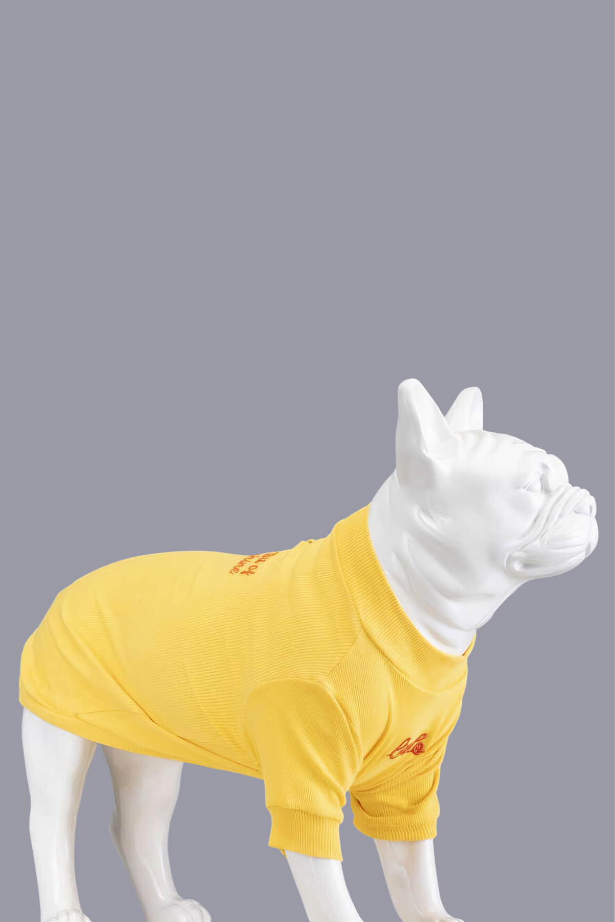 lindodogs-little-bit-of-sunshine-kucuk-74bf-9.png