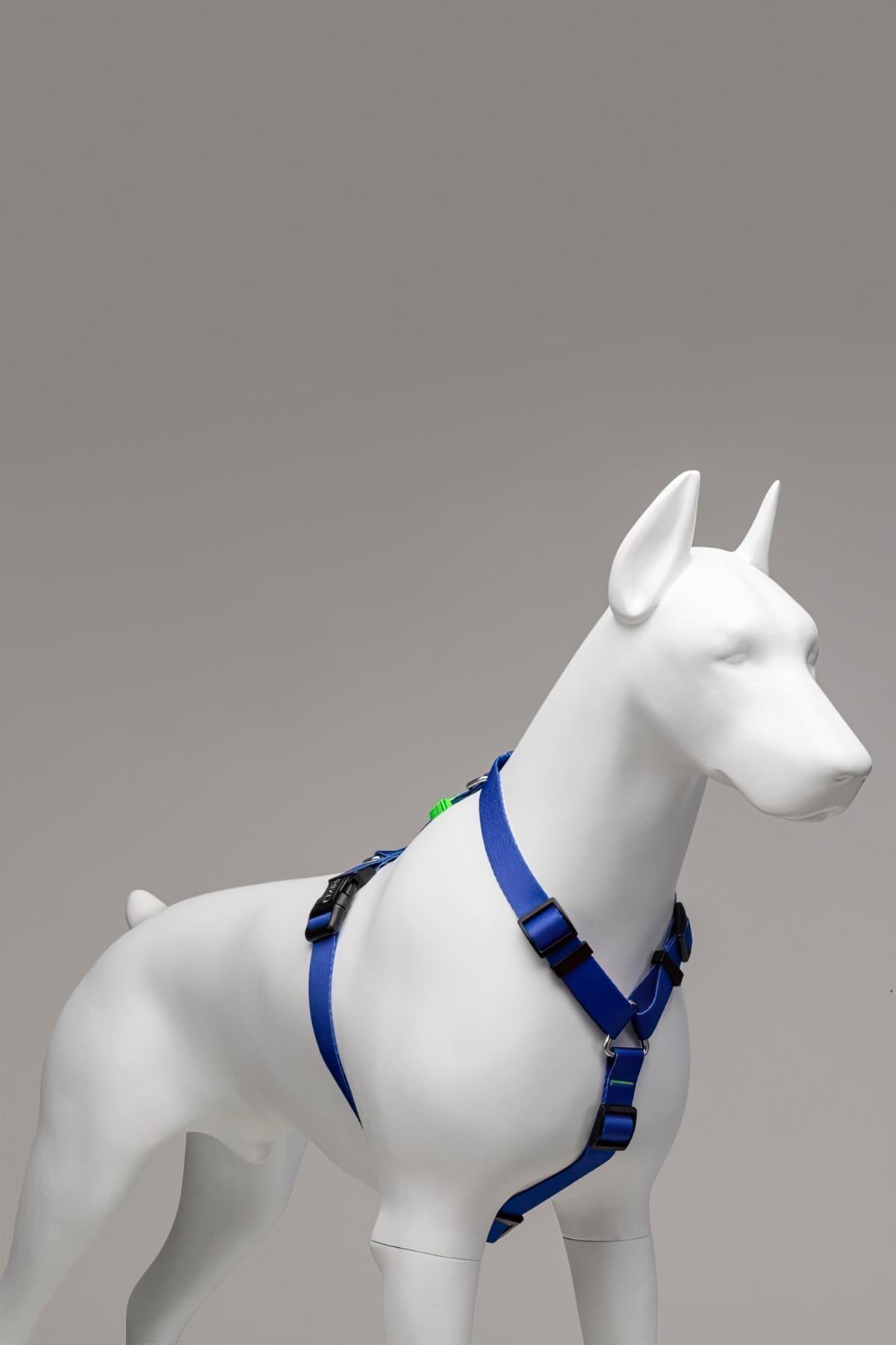 lindodogs-monster-h-tipi-gogus-tasmasi-f7d5-4.jpg
