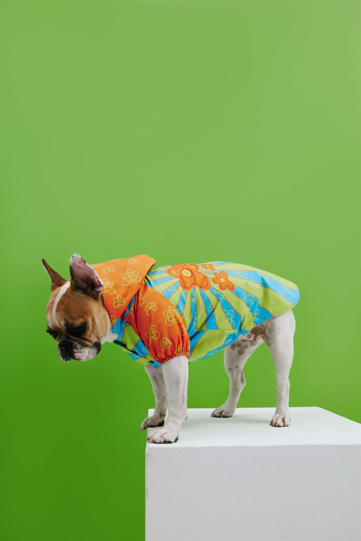 little-monster-funky-flower-kopek-yagm-ba2-99.jpg