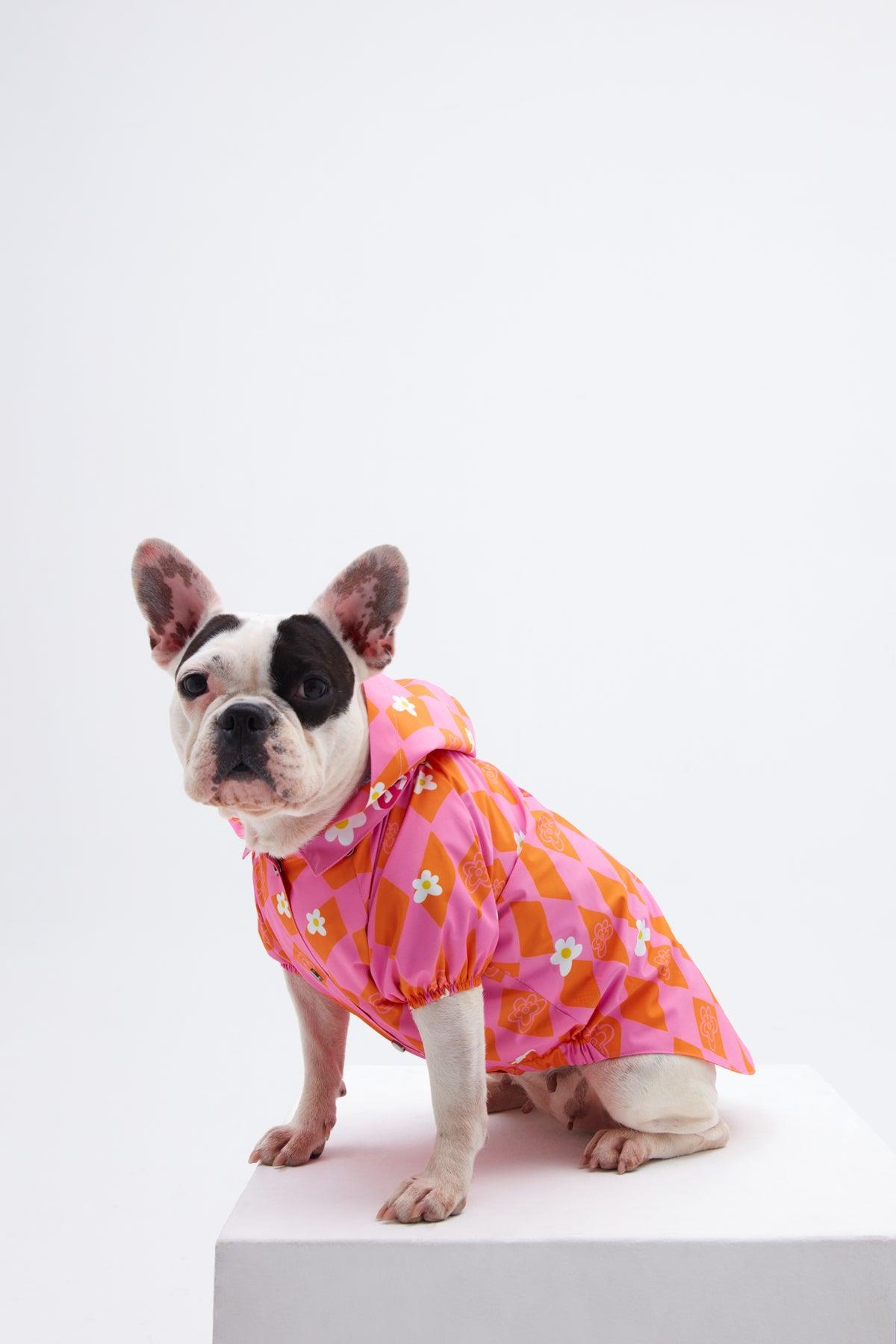 little-monster-orange-pink-damali-kope-a364-5.jpg