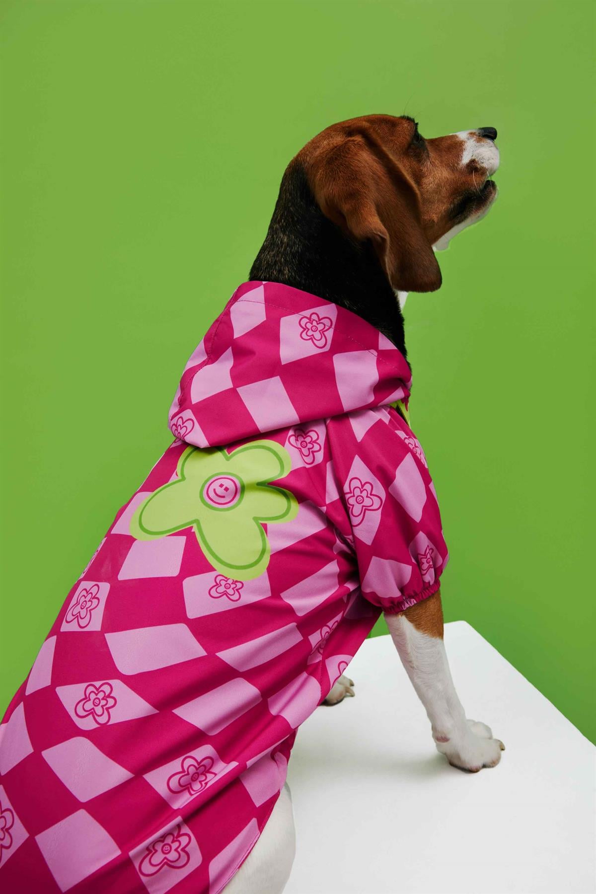 little-monster-pink-checkered-kopek-ya-44e8fd.jpg