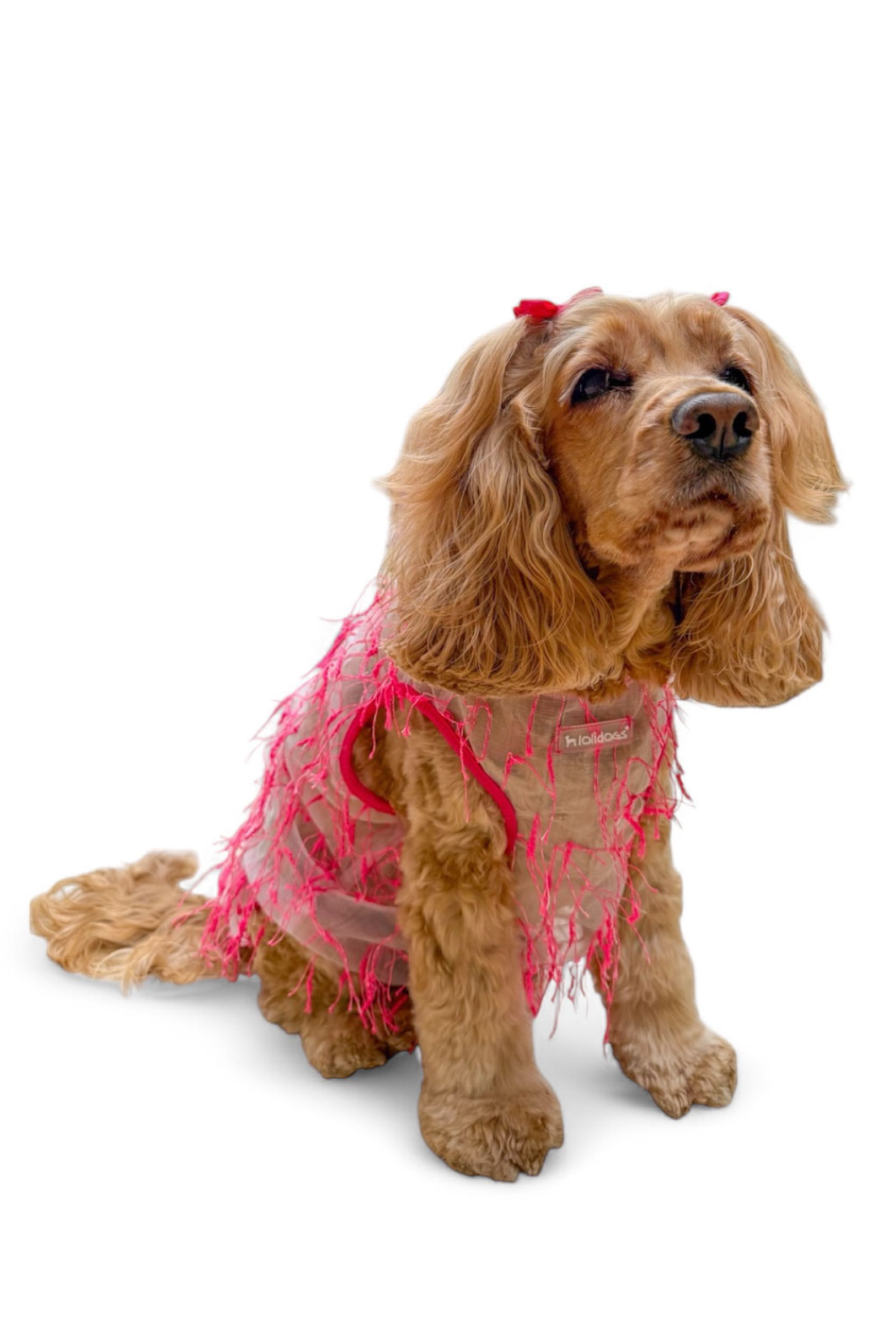 Lolidogs Furringe Köpek Tshirtü Fuşya