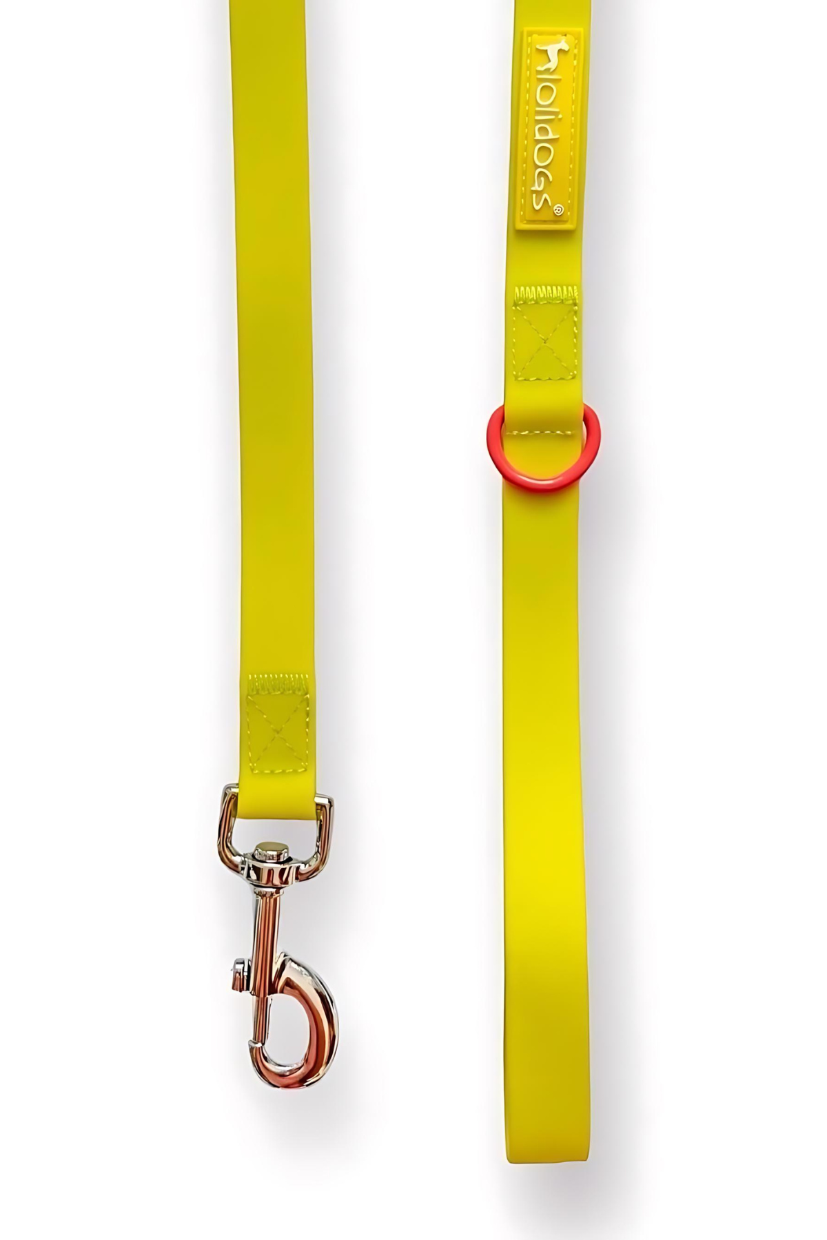 Lolidogs Jelly Collection Köpek Gezdirme Tasması Sunkiss