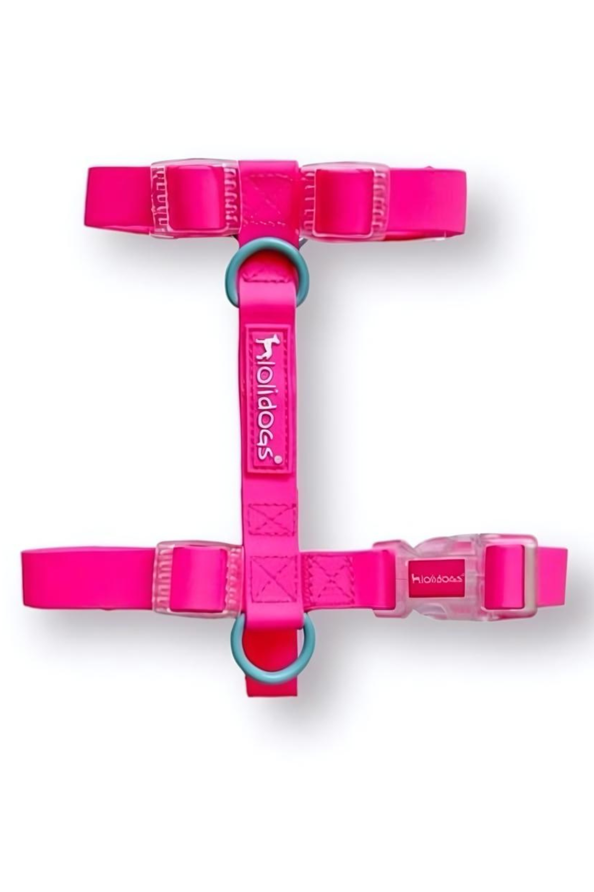 Lolidogs Jelly Collection Köpek Göğüs Tasması Candy