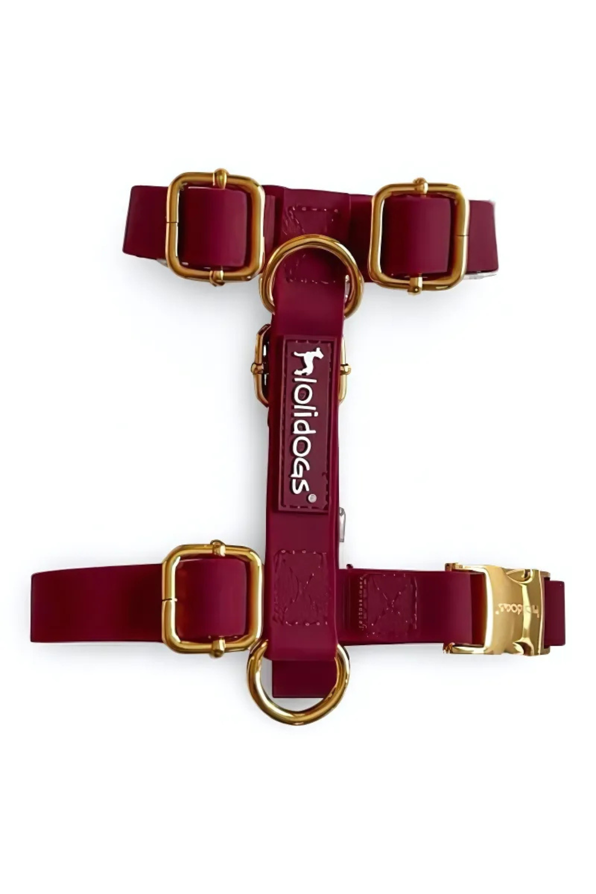 Lolidogs Jelly Lux Collection Köpek Göğüs Tasması Ruby Bordo