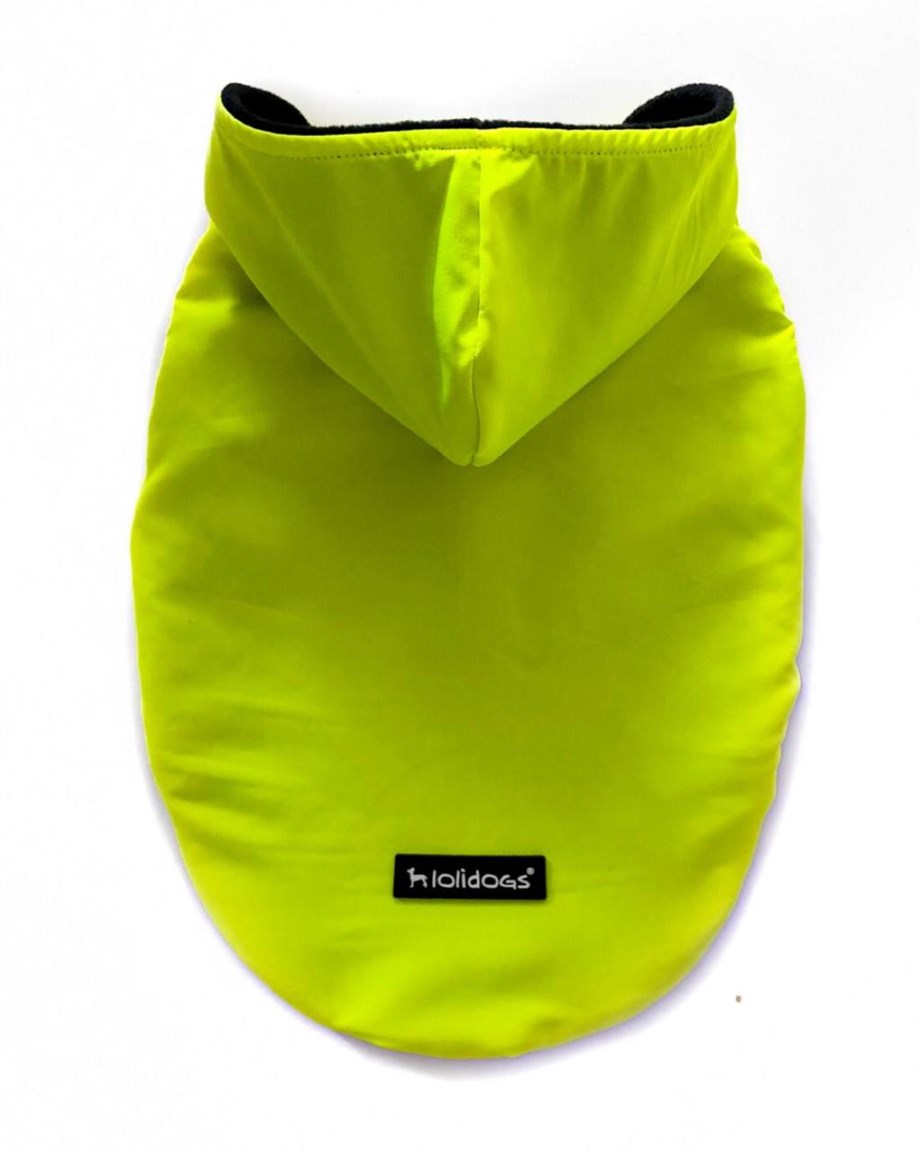 Lolidogs Neon Köpek Montu Lime