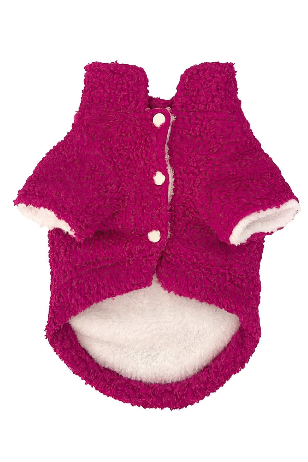 Lolidogs Teddy Köpek Montu Magenta