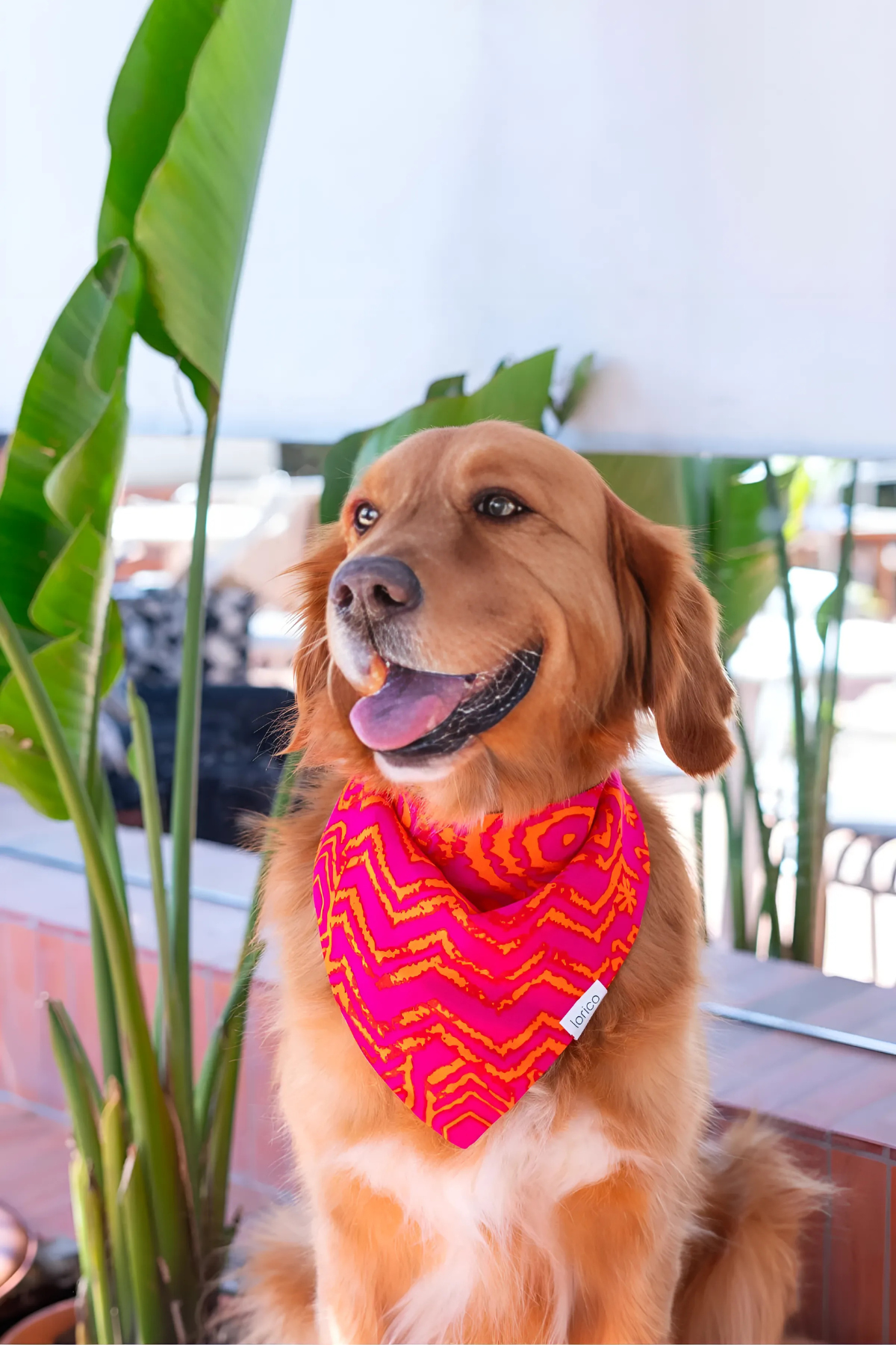 Lorico Köpek Çıtçıtlı Desenli Fular/Bandana Pembe
