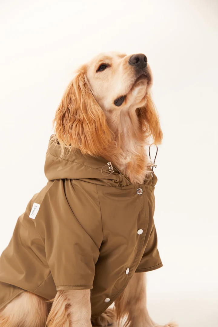 Lorico-Pet Torino Köpek Yağmurluk - Haki