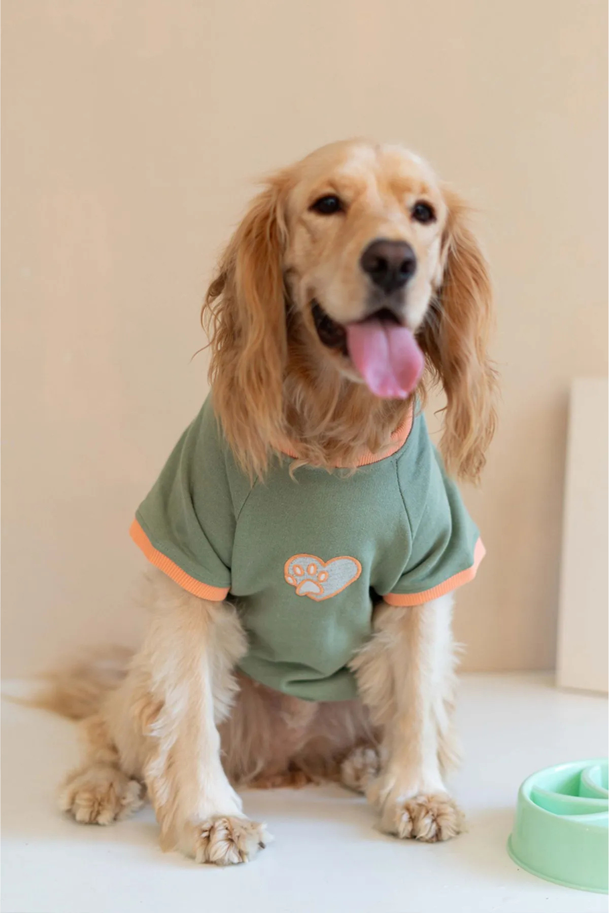 Lorico Trieste Sweatshirt Haki