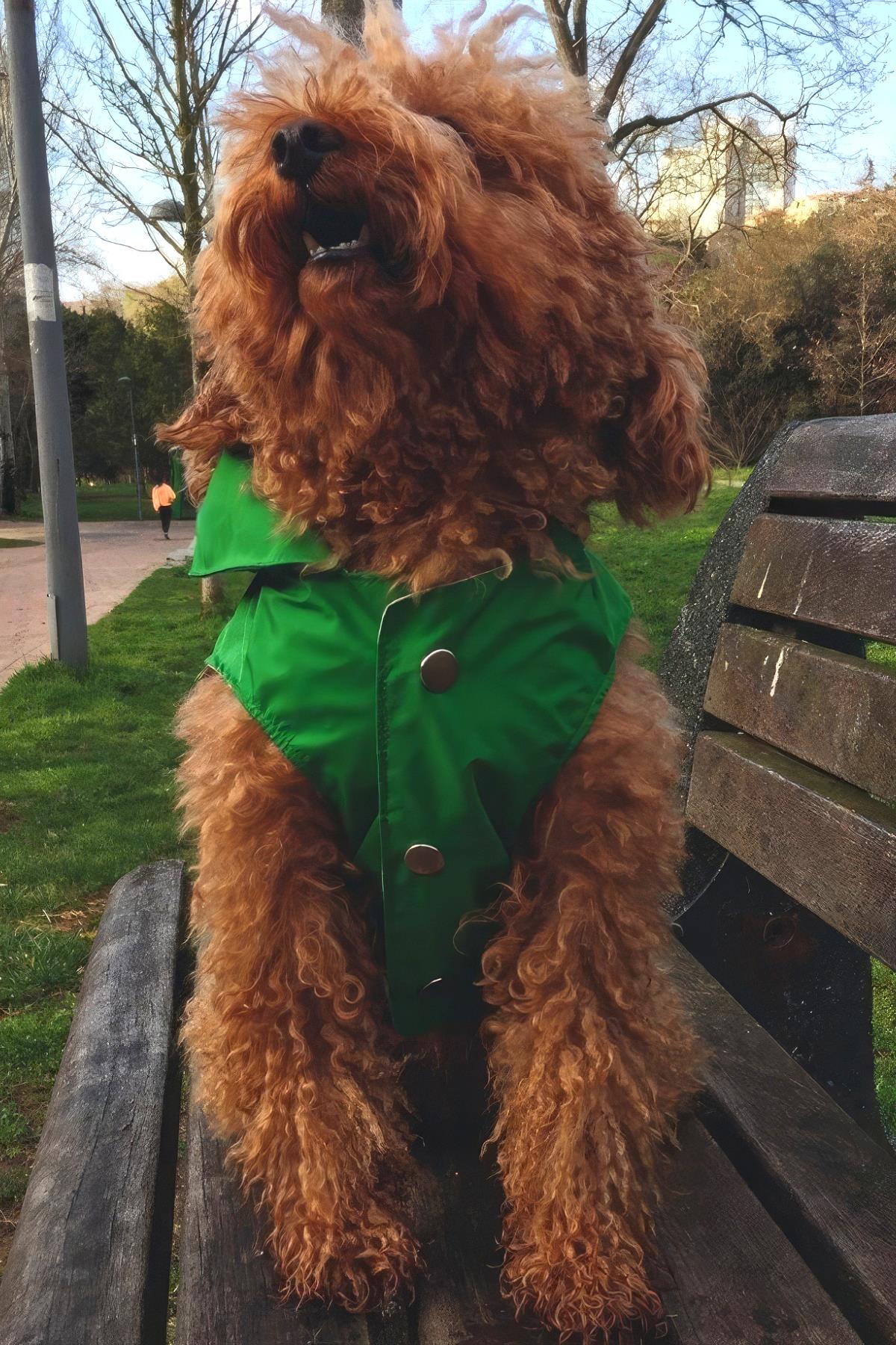 Lulu The Urban Pup Ultra Light Green Raincoat