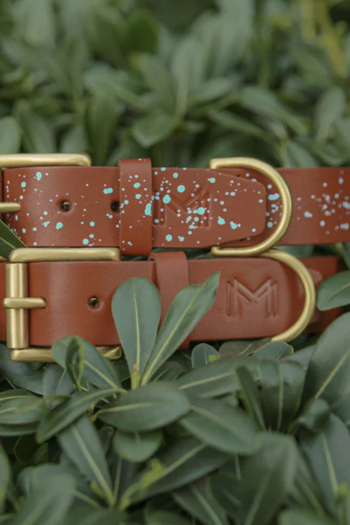 MarsAndMocha Açık Kahve Püskürtmeli Kedi-Köpek Tasması