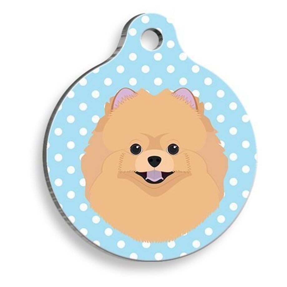 Pomeranian With Blue Polka Dot Round Dog Tag