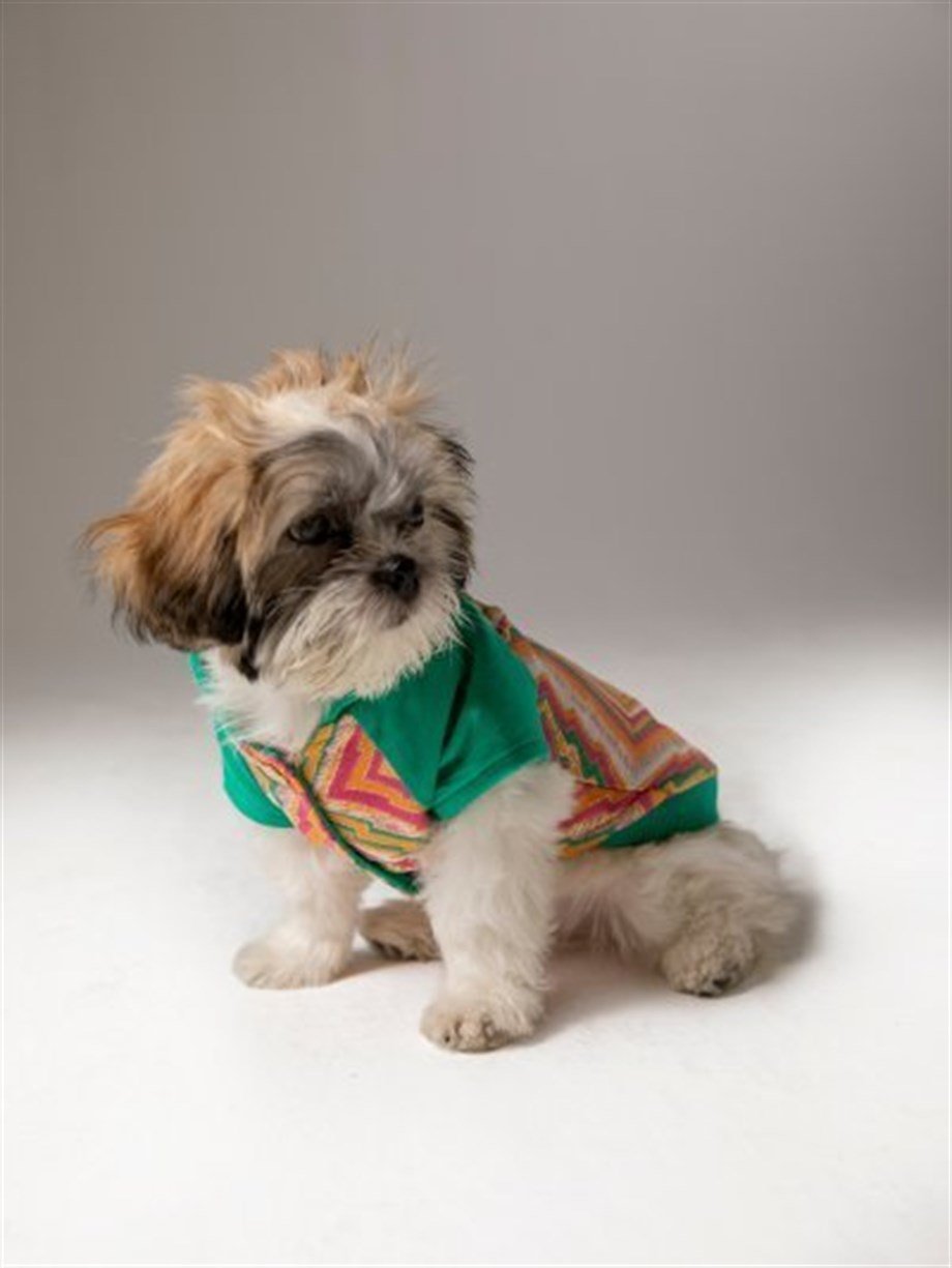 Moi and Ellie Bella Ethnic Bomber Jacket Köpek Ceket