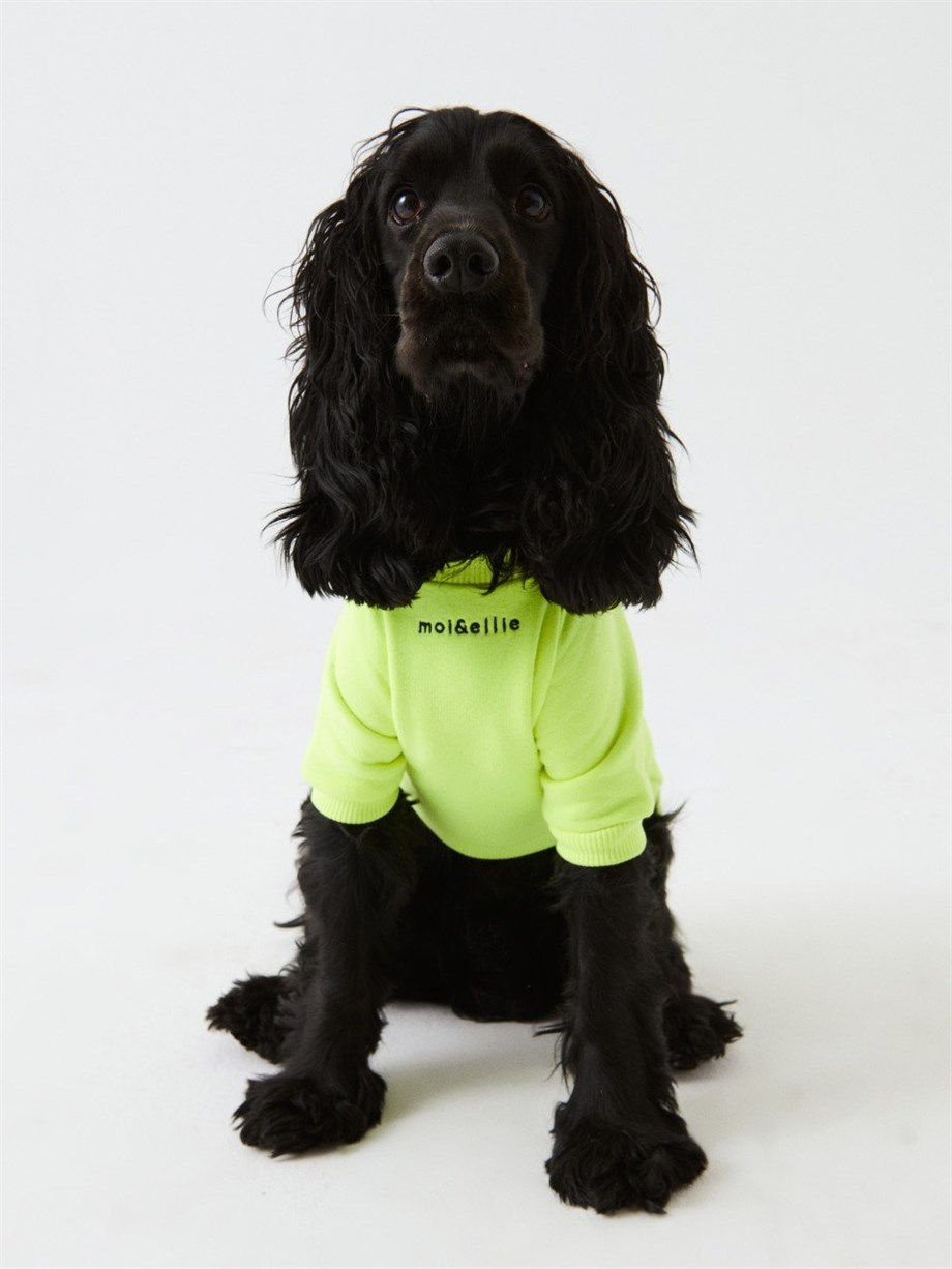 Moi and Ellie Jr Hndsh Köpek Sweatshirt