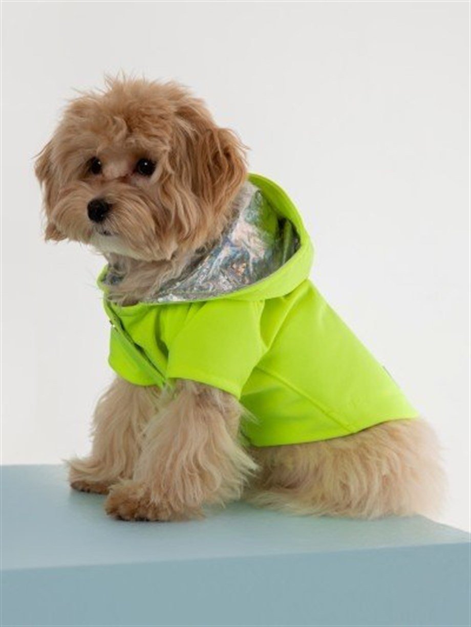 Moi And Ellie Max Neon Yellow Raincoat Dog