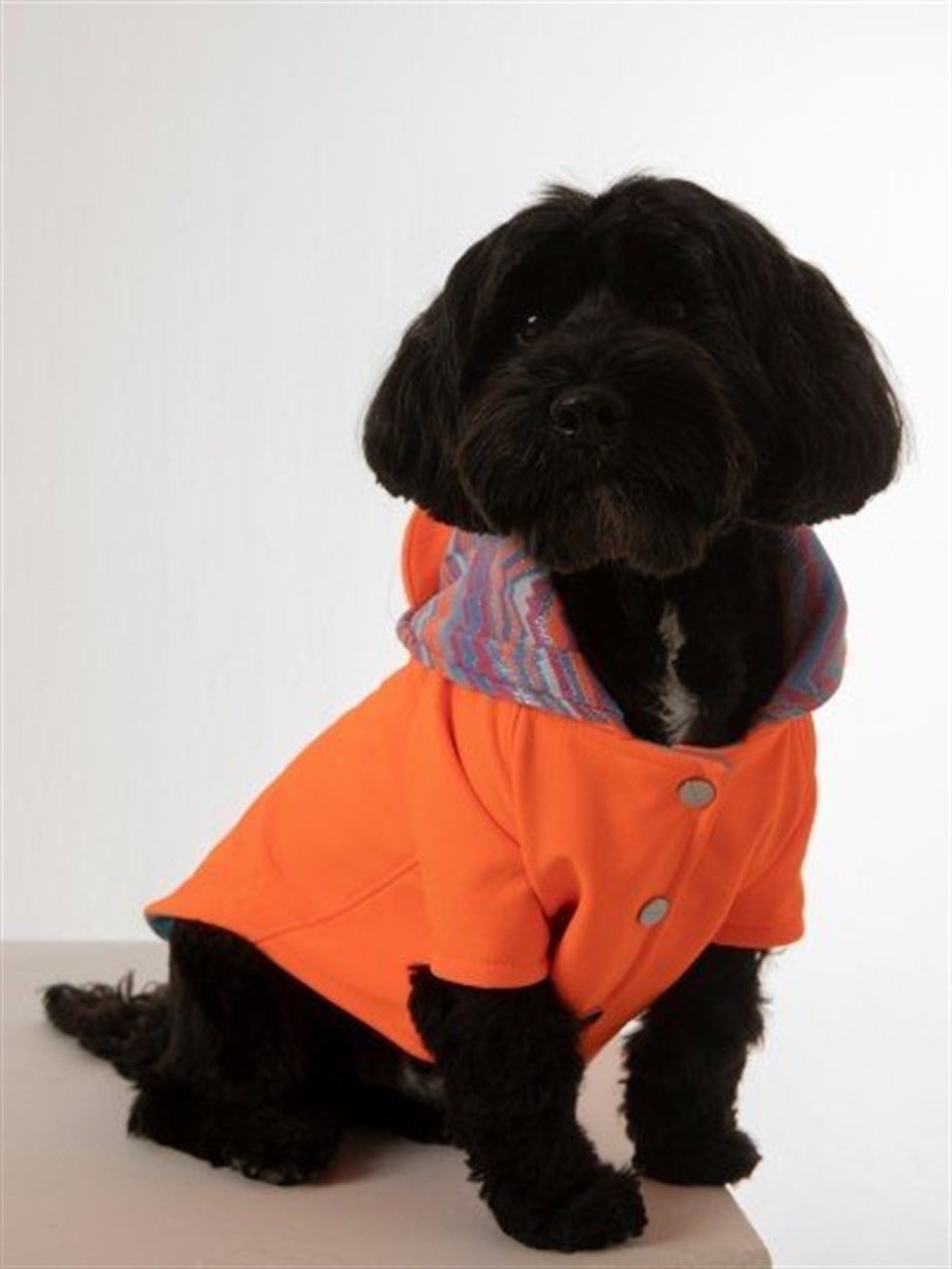 Moi And Ellie Max Orange Raincoat Dog